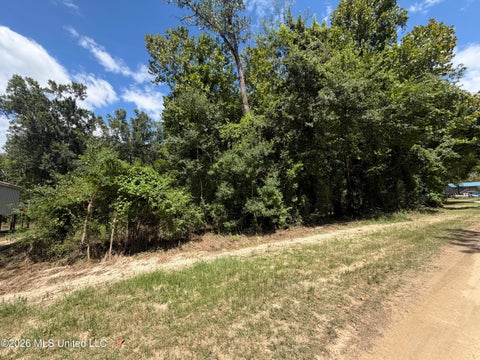 Vacant Land For Sale - Plum Bluff Drive<br/> Lucedale, MS 39452
