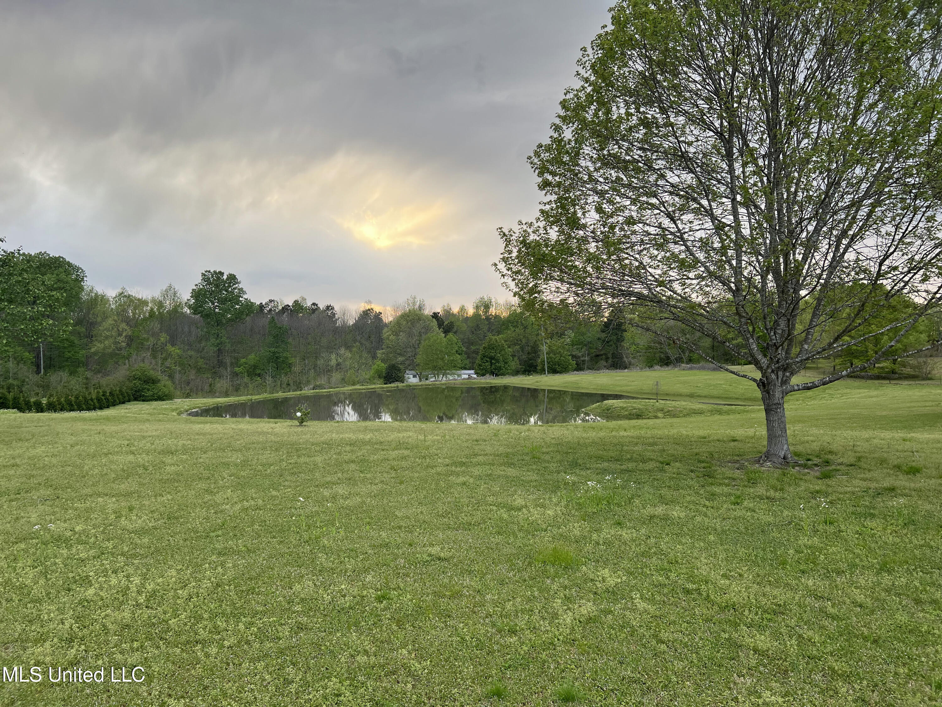 3740 Ms-301, Hernando, Mississippi image 6