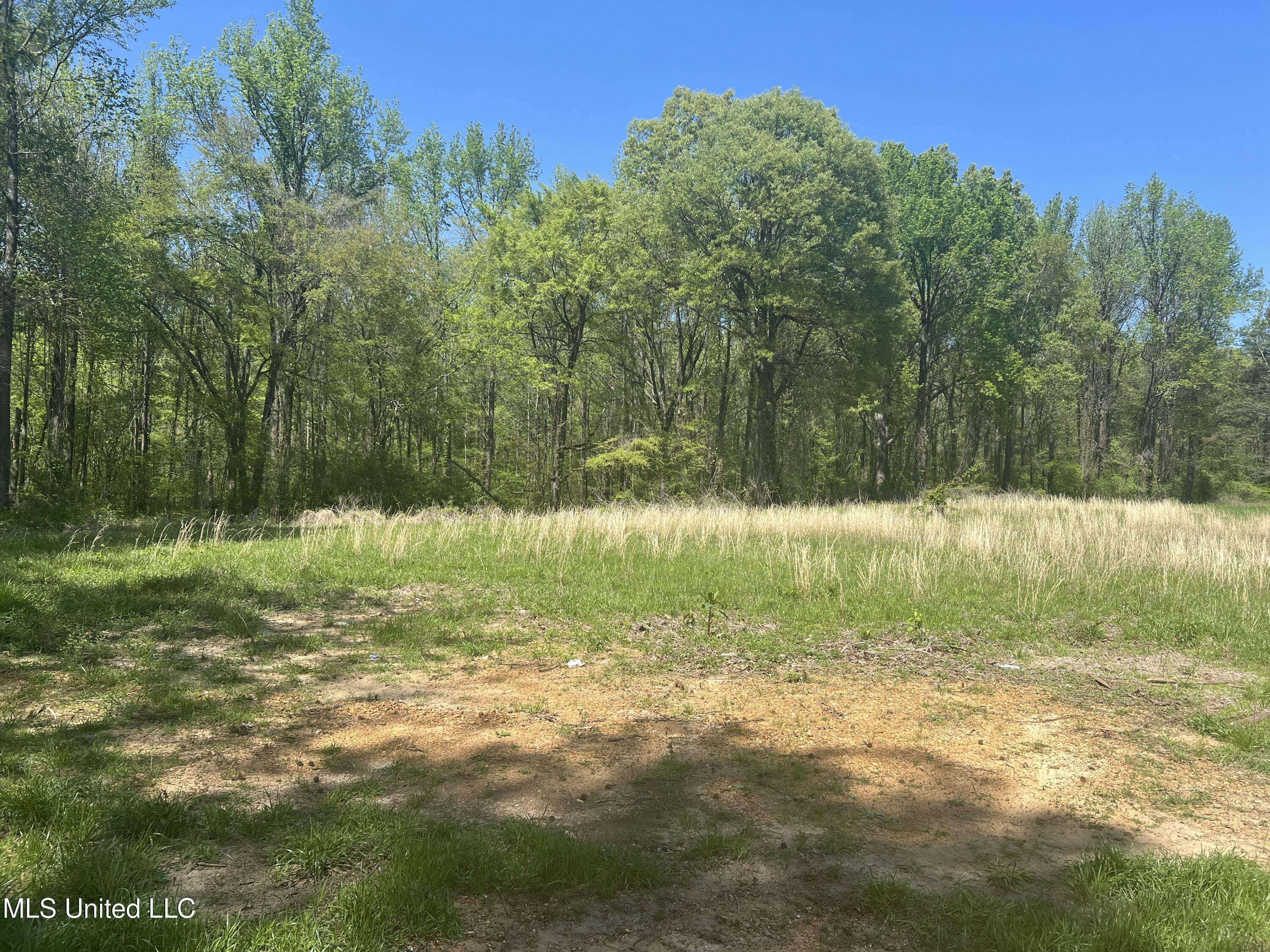3740 Ms-301, Hernando, Mississippi image 44