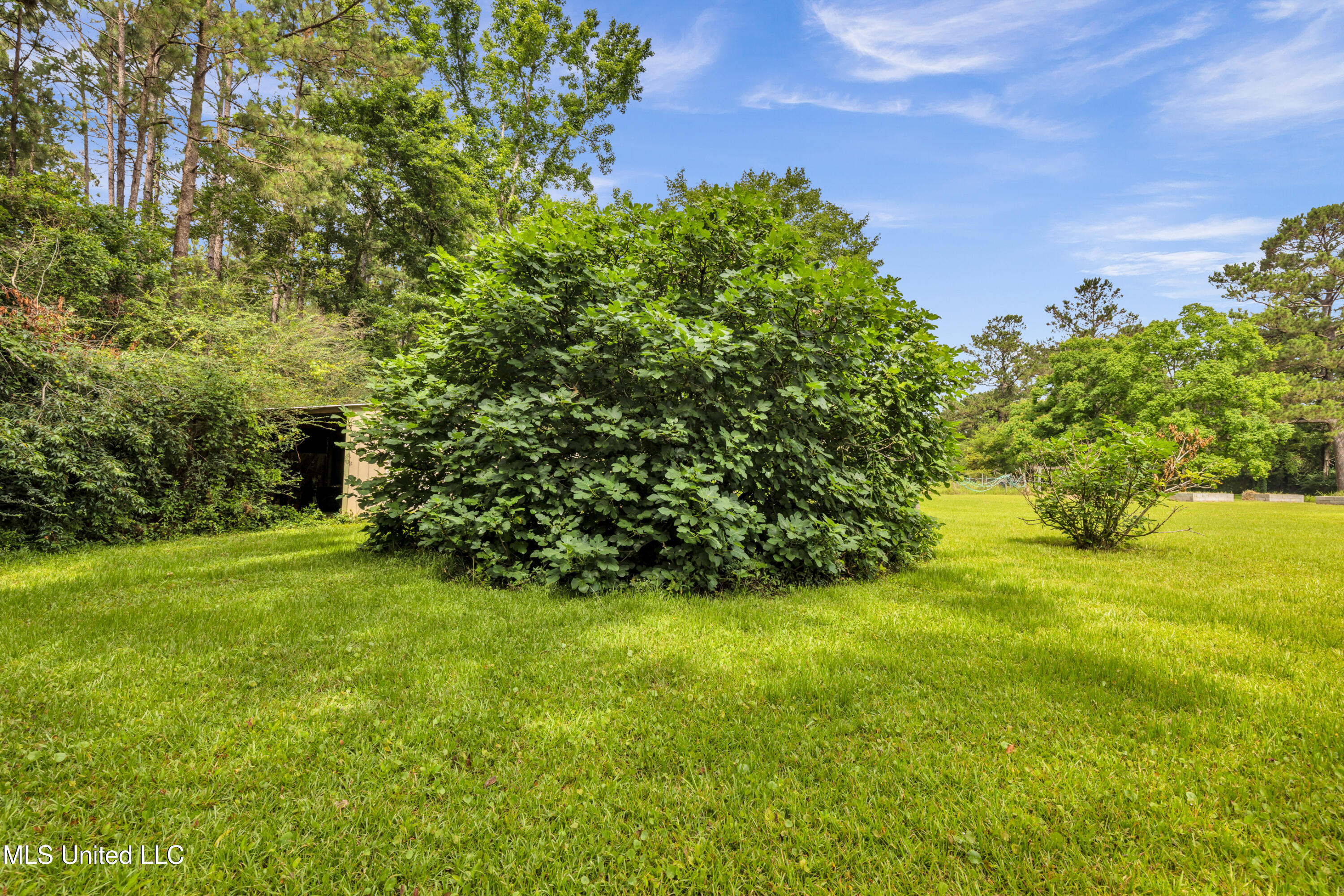 16609 Old River Rd Rd, Vancleave, Mississippi image 44