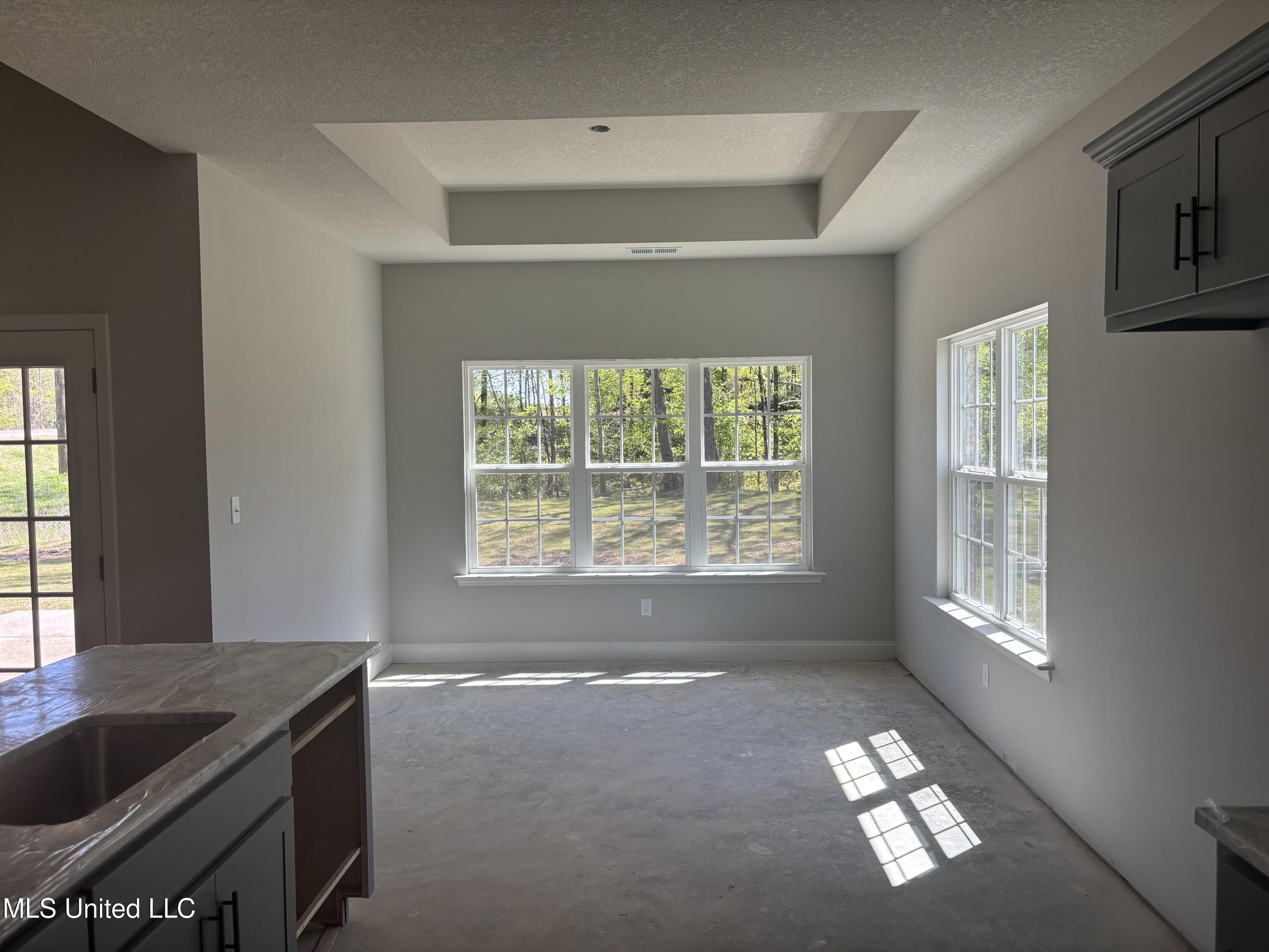 963 Buttermilk Drive, Nesbit, Mississippi image 4