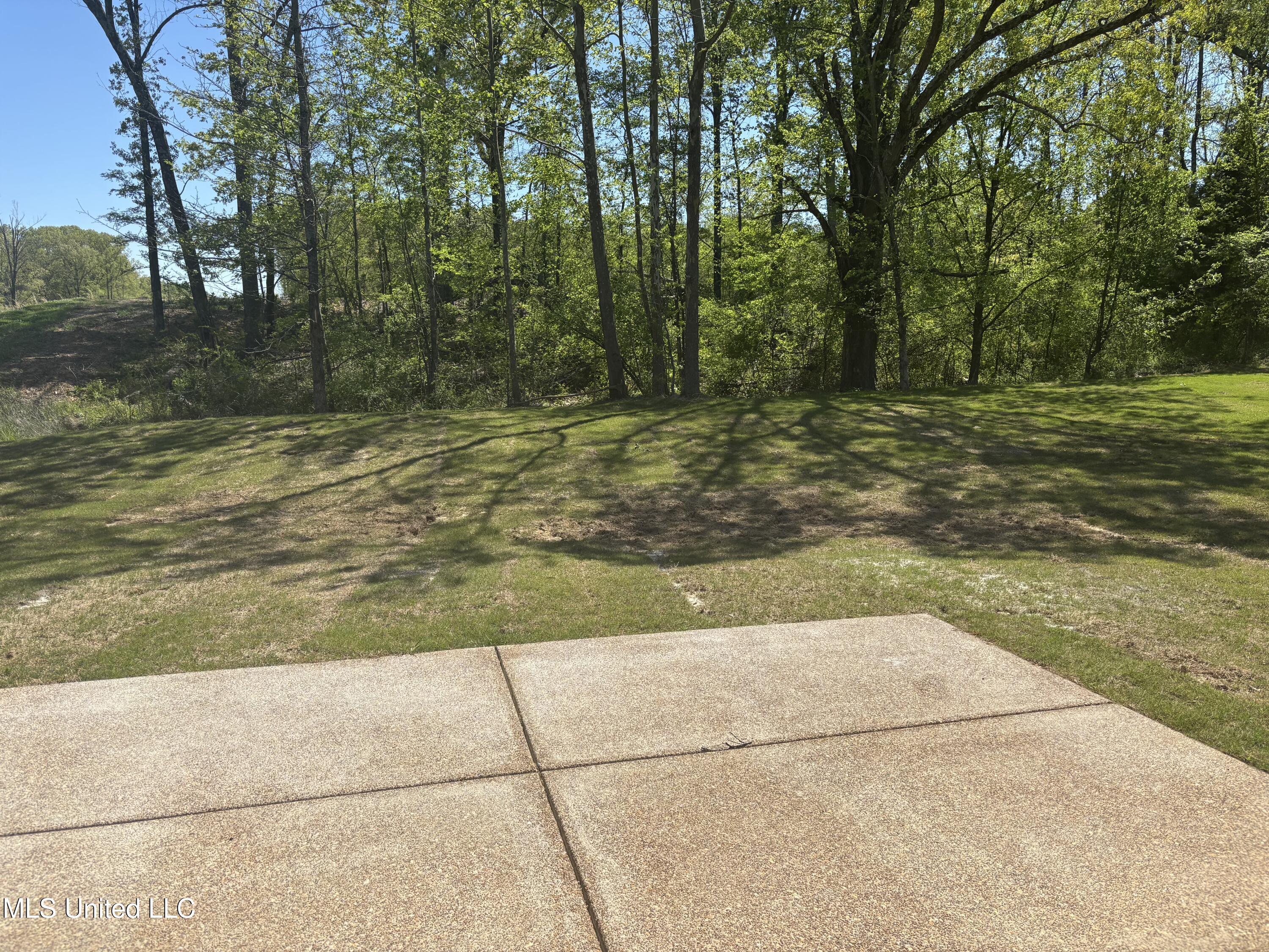 963 Buttermilk Drive, Nesbit, Mississippi image 7