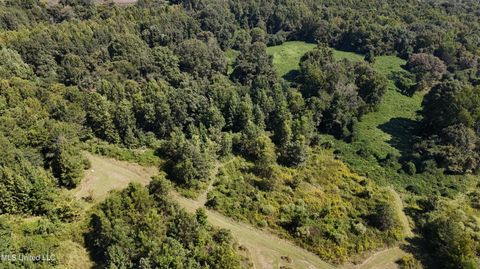 Vacant Land For Sale - Ms Highway 12<br/> Tchula, MS 39169