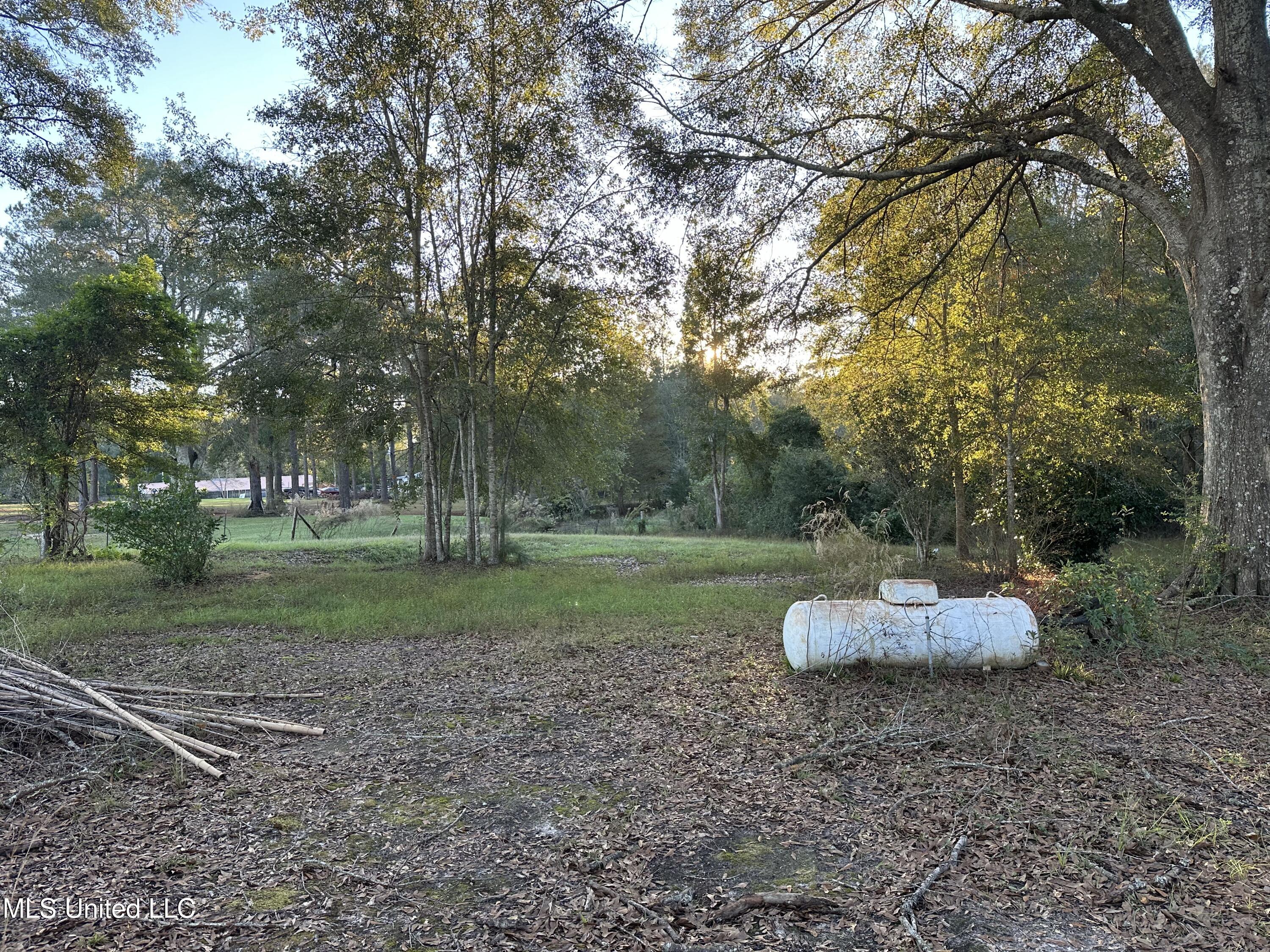 381 Osborn Moody Road, Poplarville, Mississippi image 9