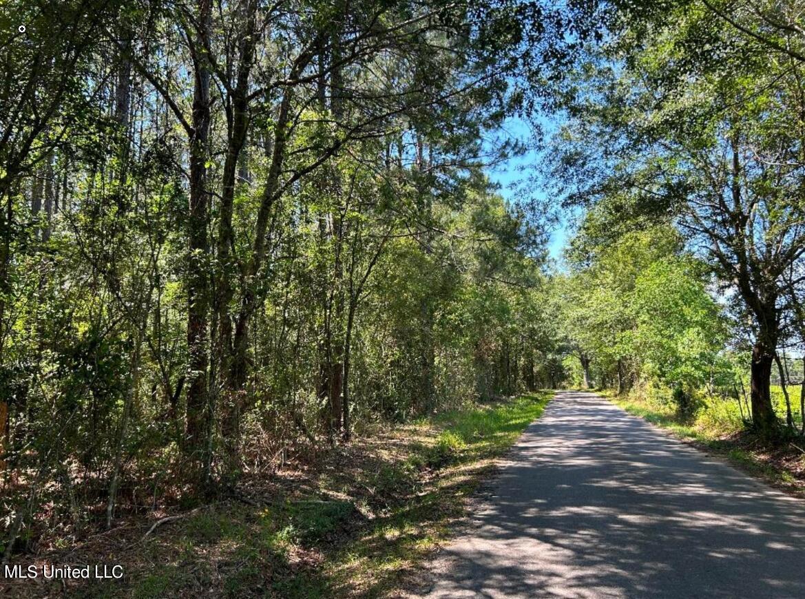 Esther Road, Saucier, Mississippi image 1