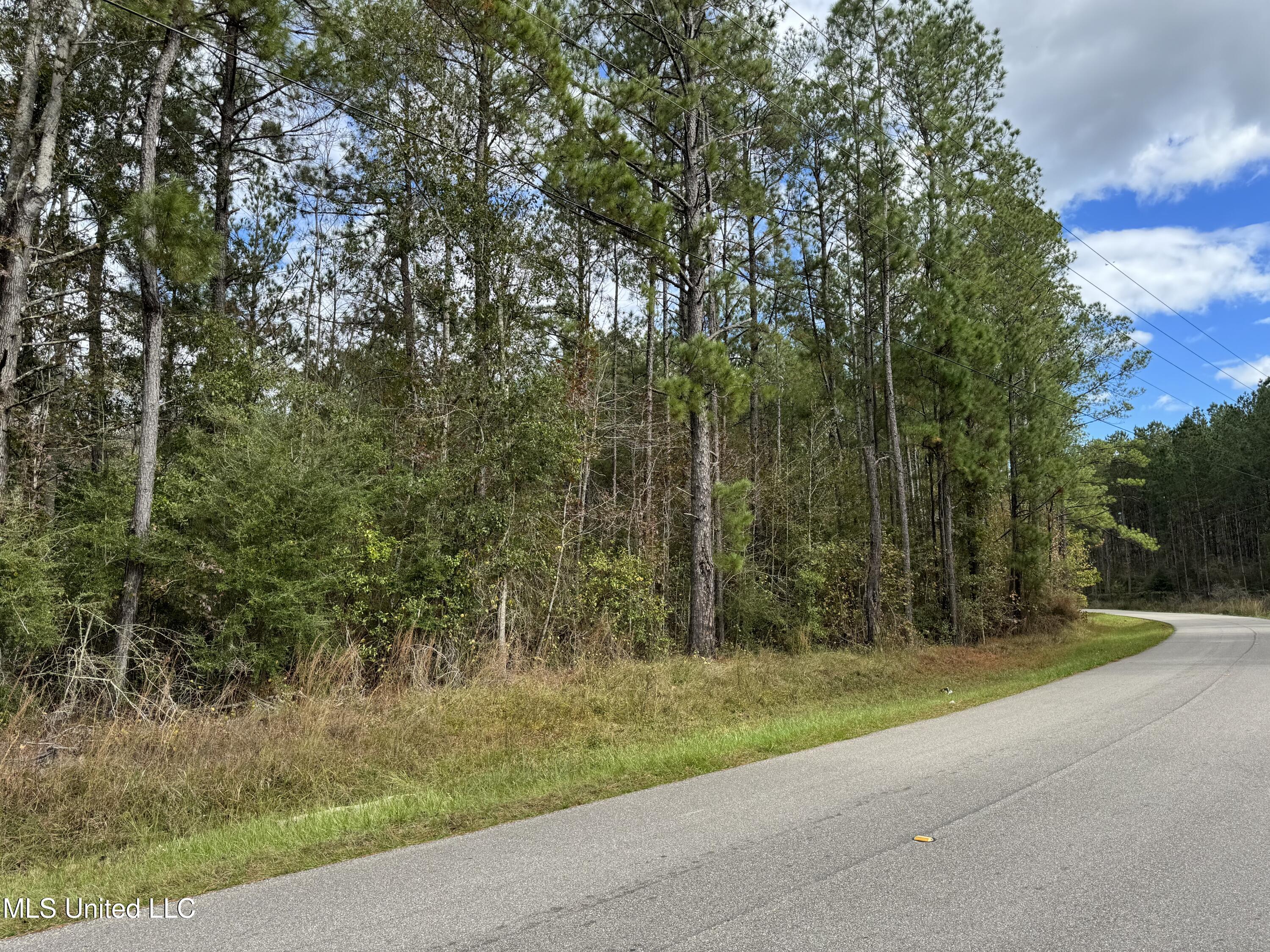 Dupont Harts Chapel Rd Road, Poplarville, Mississippi image 3