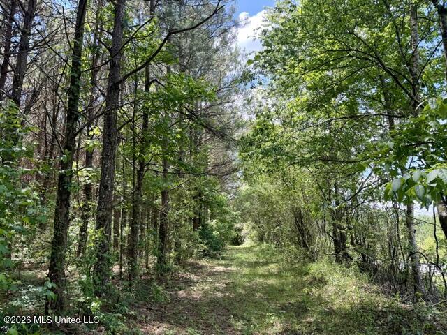 Oak Grove Road
