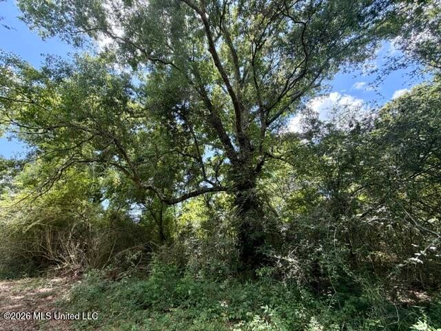Oak Grove Road