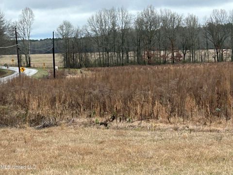 Vacant Land For Sale - 1 Old Hillsboro Road<br/> Scott County, Forest, MS 39074