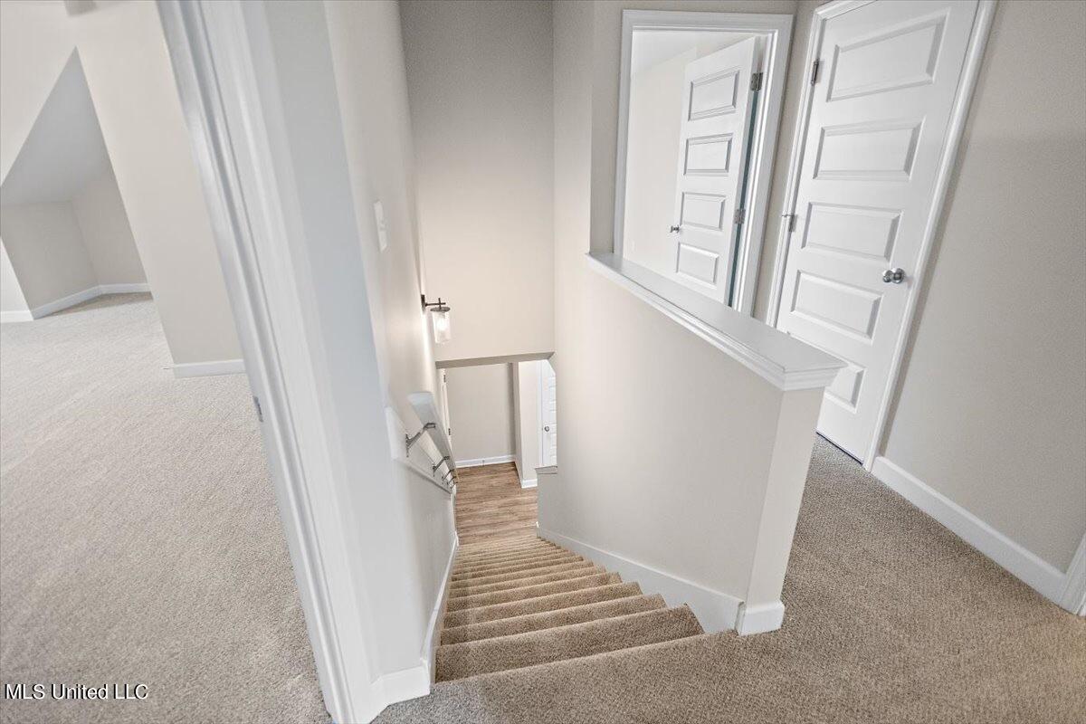 8902 Area Lane, Southaven, Mississippi image 20