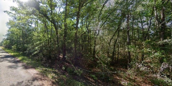 LOTS 9-11 CEDAR DRIVE, WAVELAND, MS 39576 - Image 182d710f73a1c5bc7c41c79c42c8d5d3/427986494