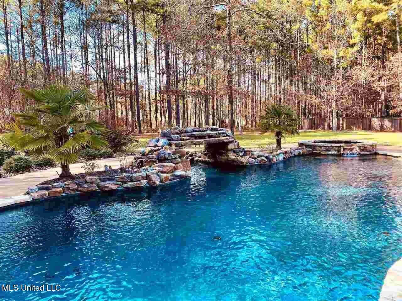 512 Durrango Drive, Brandon, Mississippi image 11