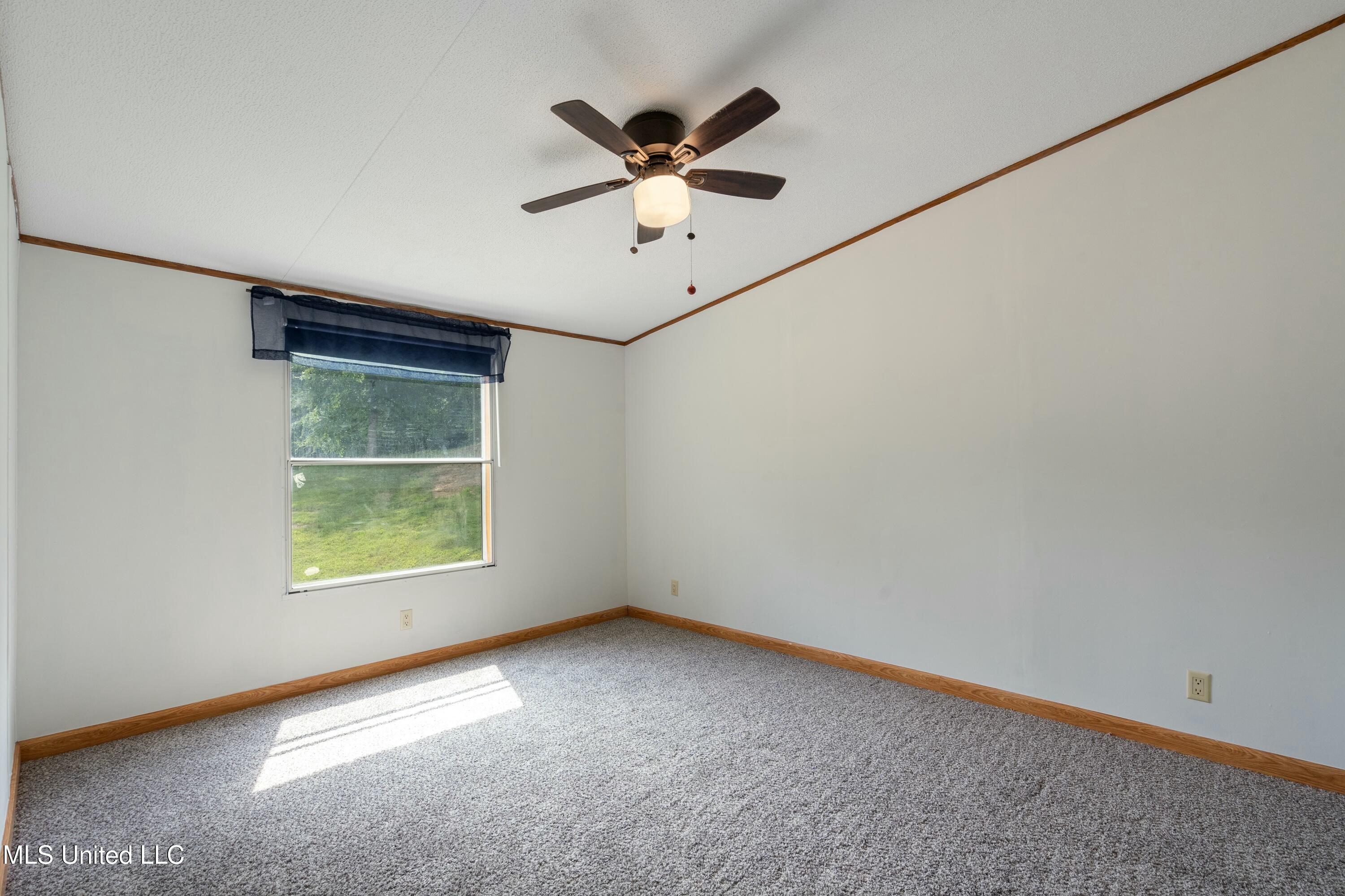 535 Strayhorn Lake Drive, Sarah, Mississippi image 19
