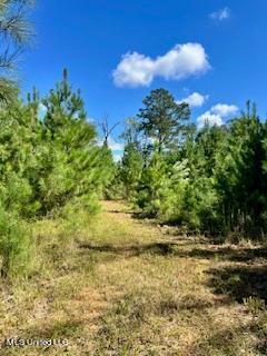 00 County Line Road, Summit, Mississippi image 8