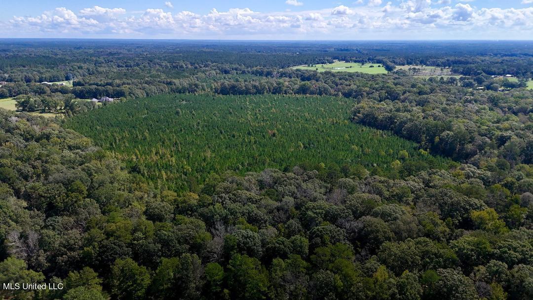 00 County Line Road, Summit, Mississippi image 1