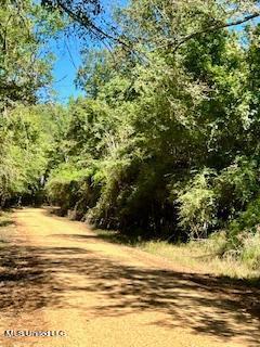 00 County Line Road, Summit, Mississippi image 7