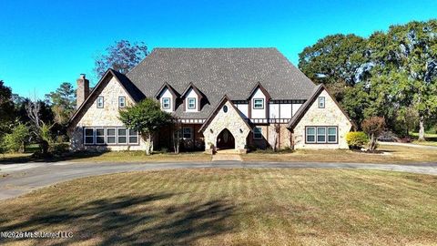 Homes For Sale - 2655 S Highway 43<br/> Picayune, MS 39466