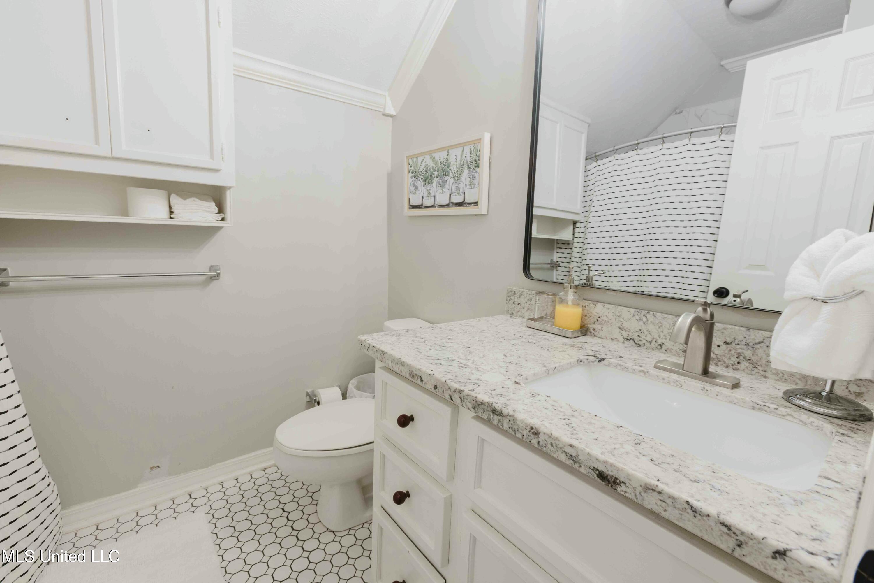 199 Mandarin Drive, Brandon, Mississippi image 28