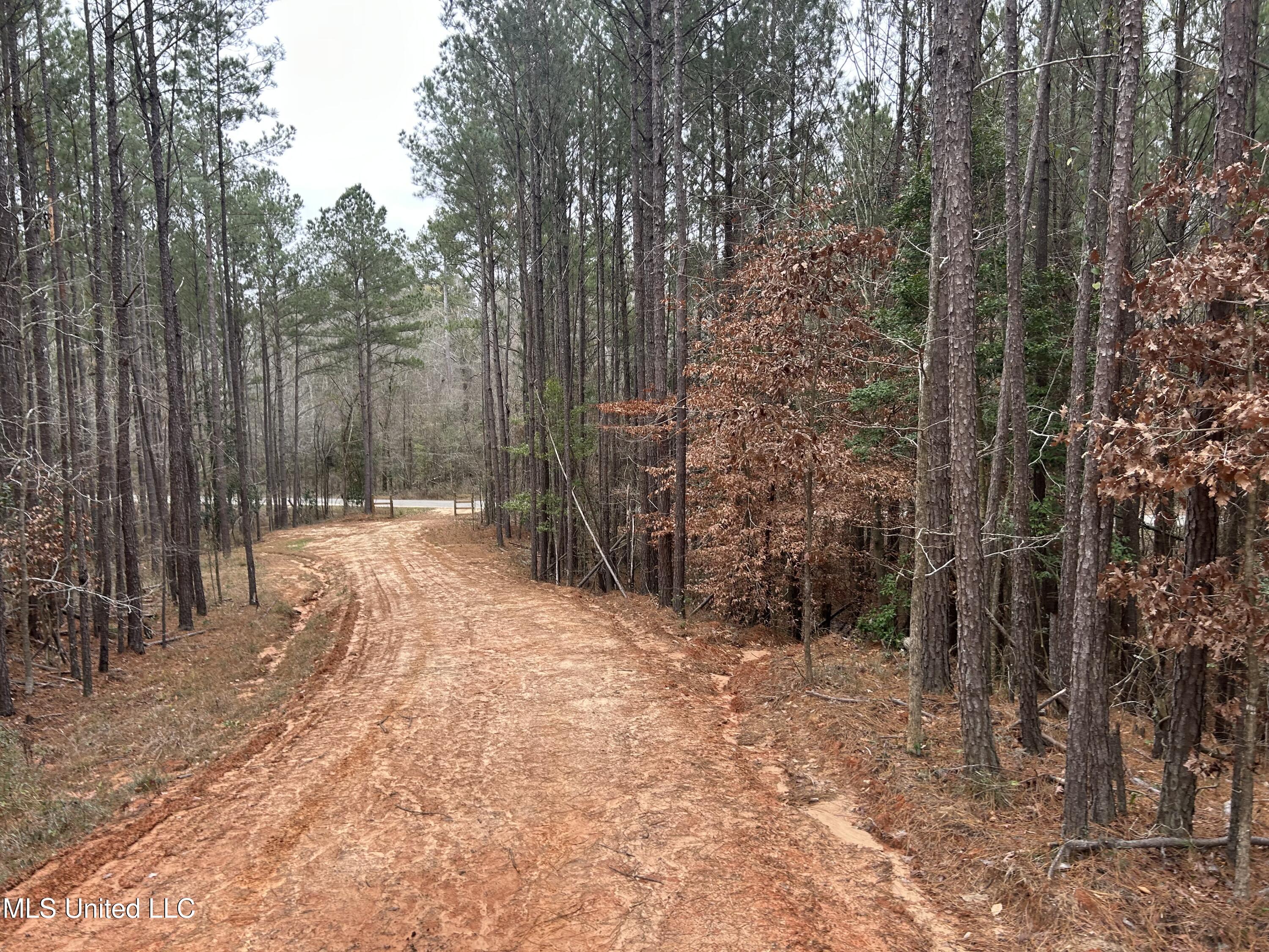 Pelahatchie Road, Pelahatchie, Mississippi image 1