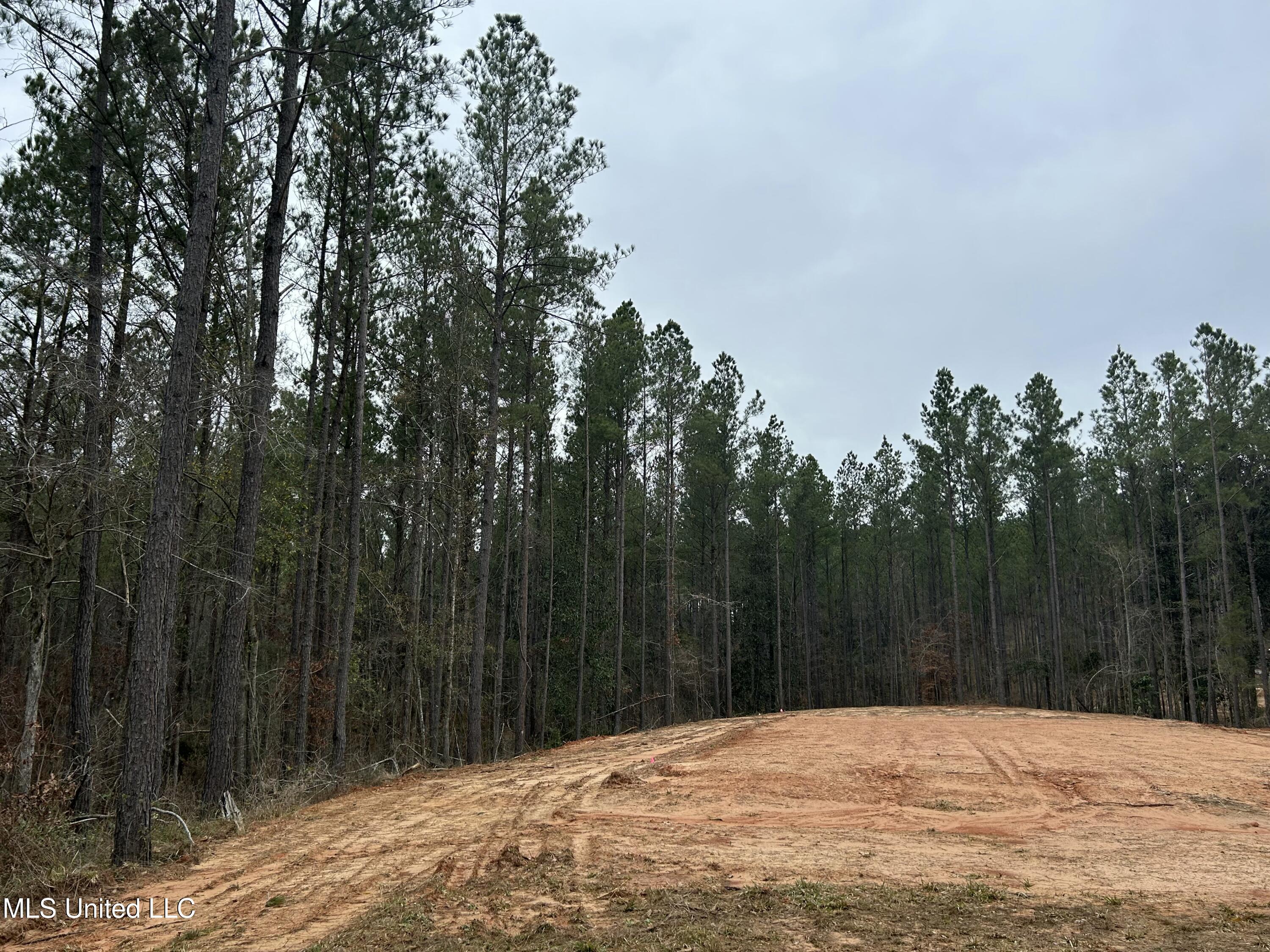 Pelahatchie Road, Pelahatchie, Mississippi image 8