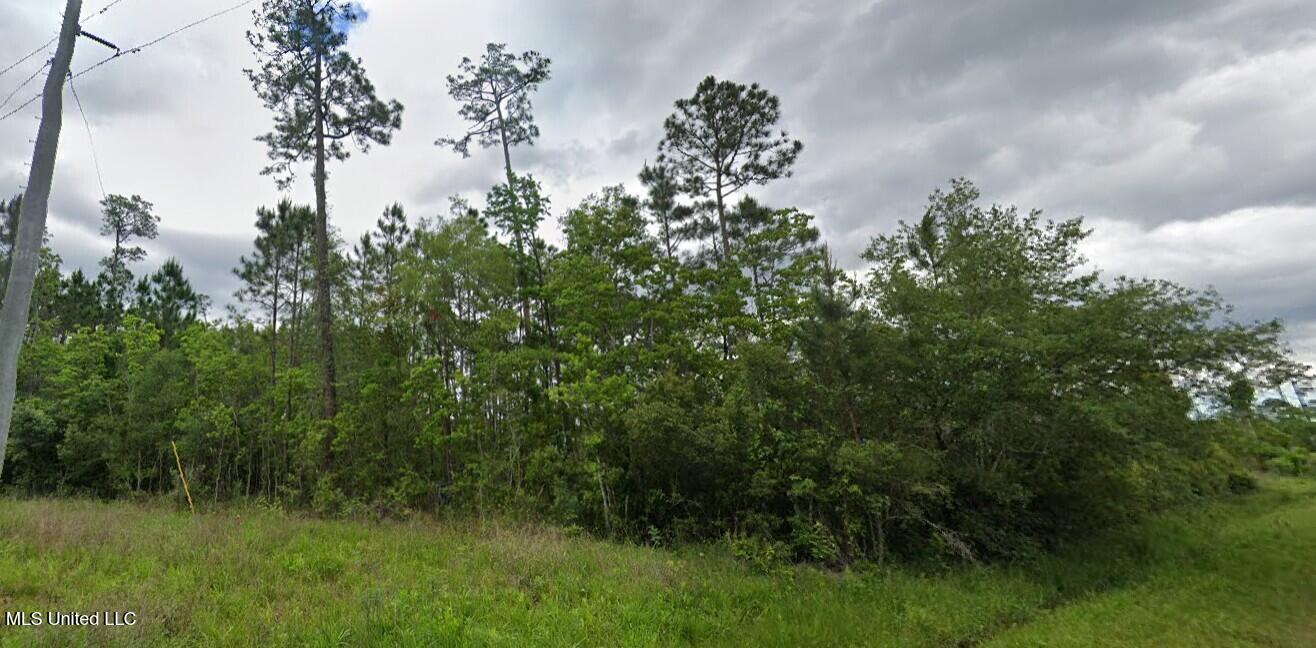 Amazon Street, Bay Saint Louis, Mississippi image 3