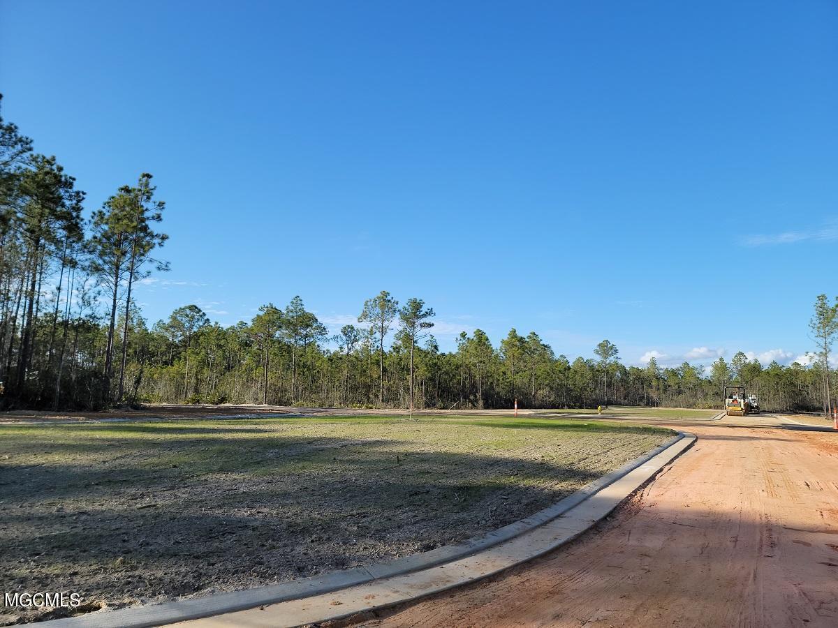 11084 Georgian Way #LOT 67, Gulfport, Mississippi image 10