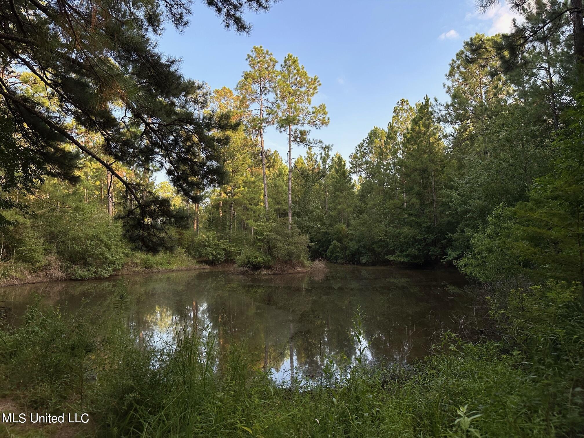 121 American Sand And Gravel, Poplarville, Mississippi image 8