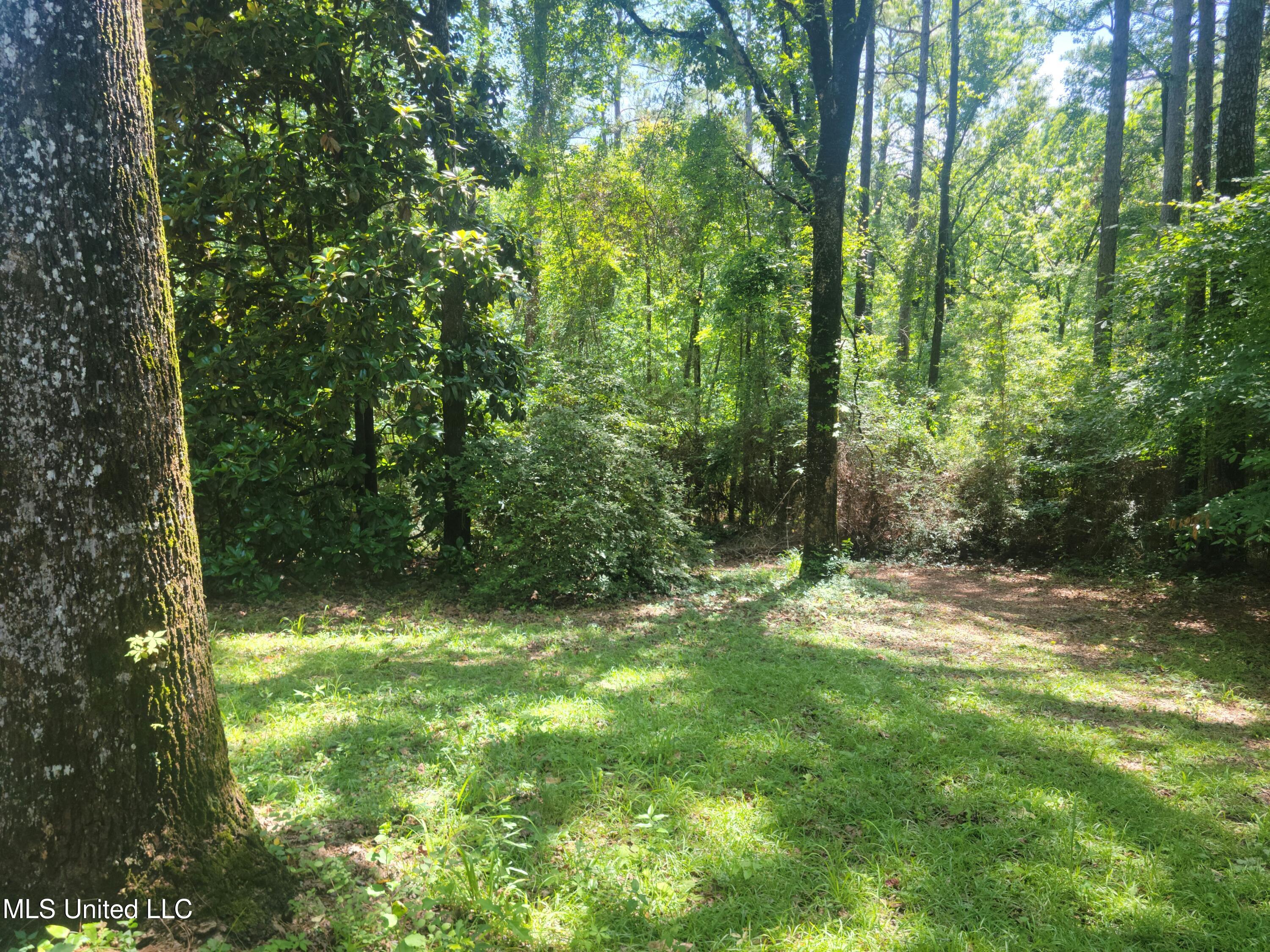 54 Pinewood Drive, Petal, Mississippi image 42