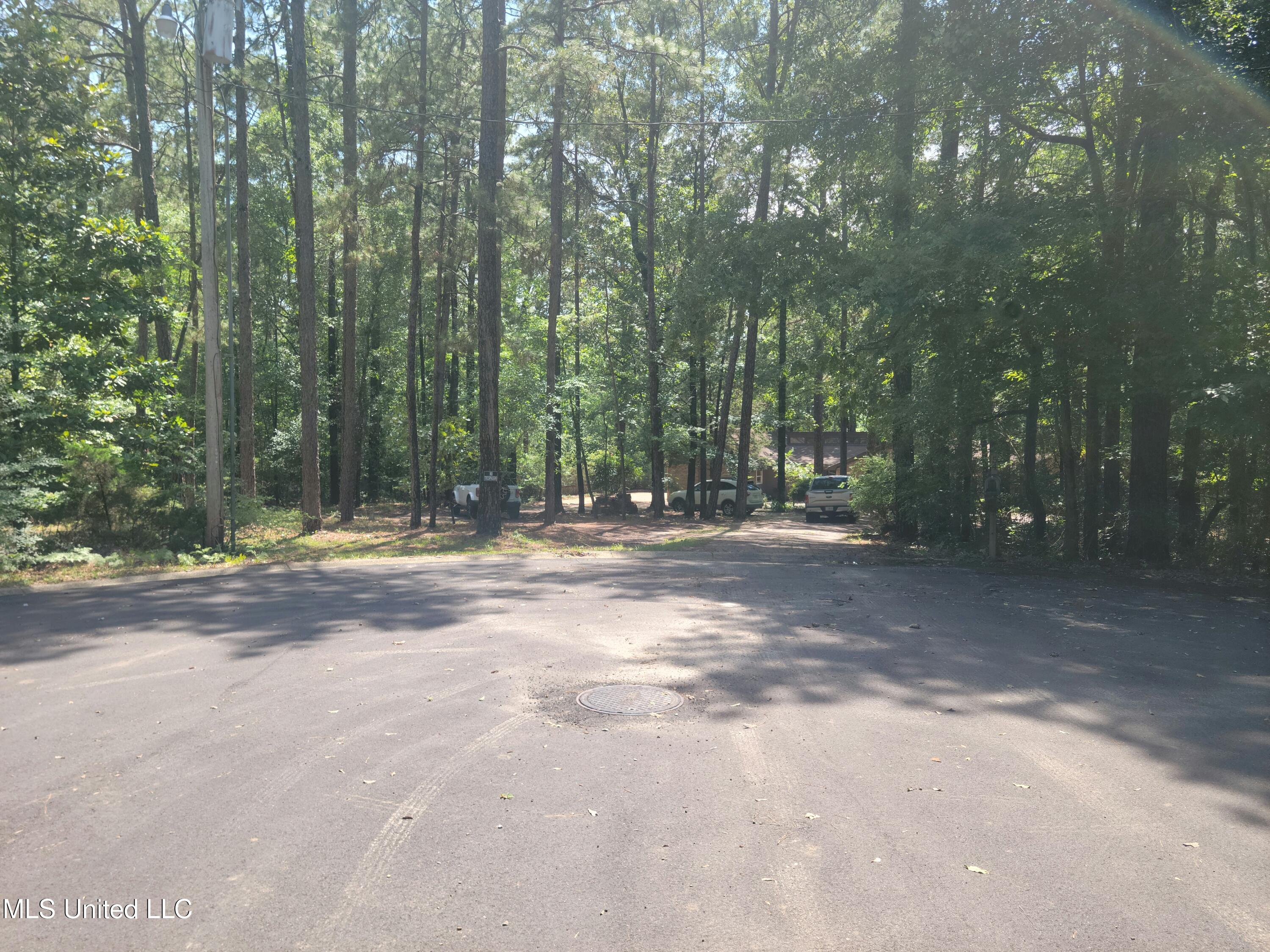 54 Pinewood Drive, Petal, Mississippi image 43