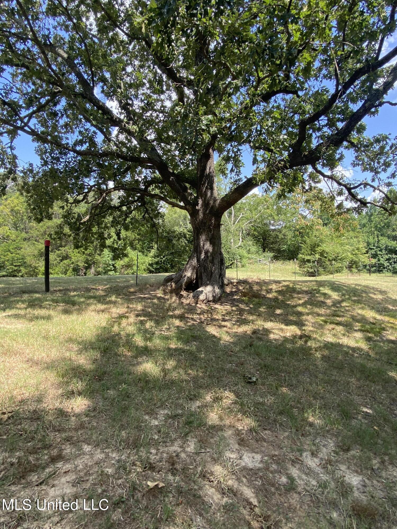 Hunters Walk Cove, Hernando, Mississippi image 10