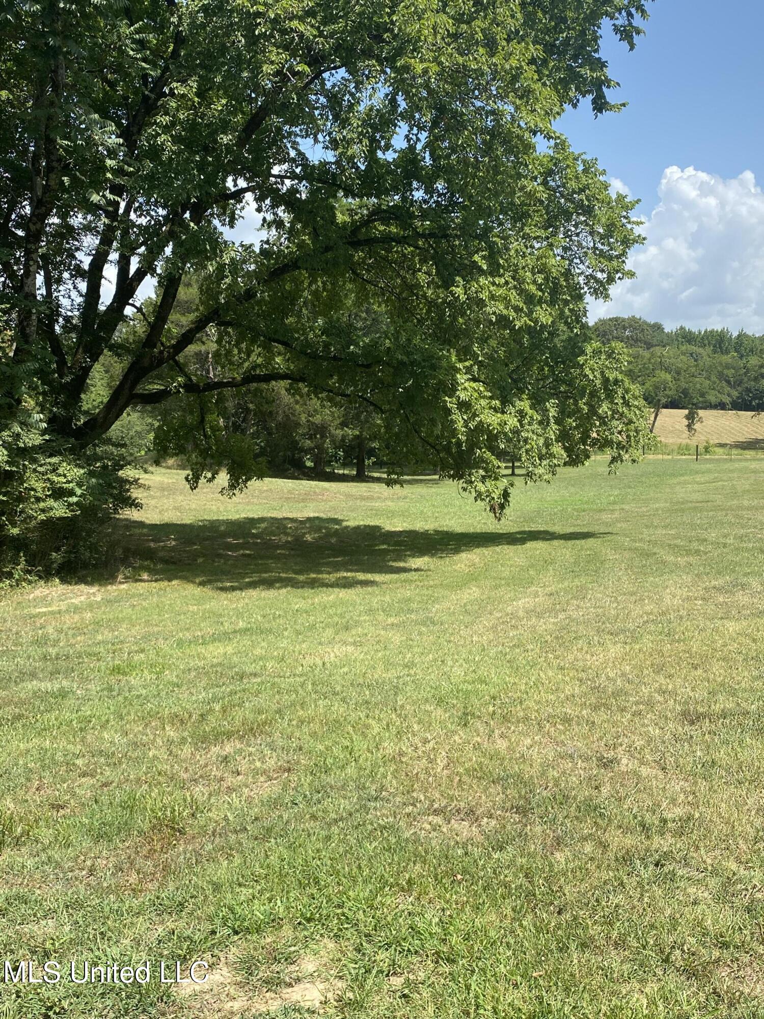 Hunters Walk Cove, Hernando, Mississippi image 6