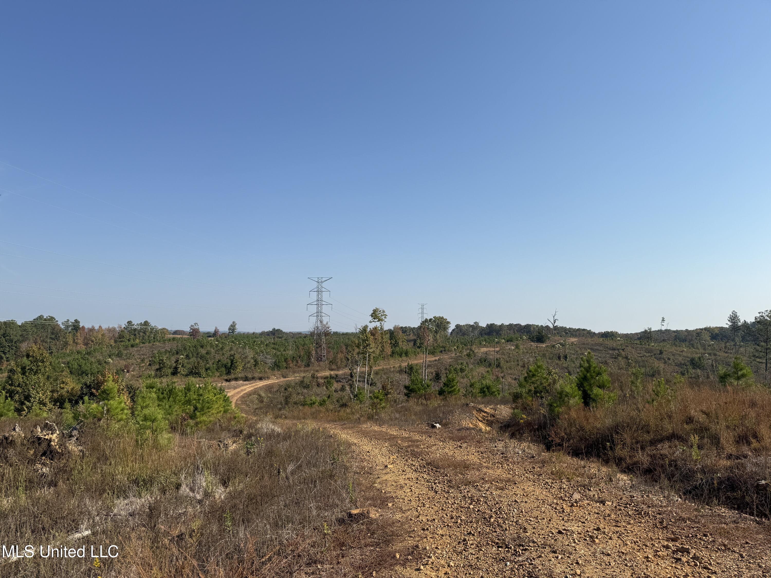 Off Highway 7, Coffeeville, Mississippi image 4