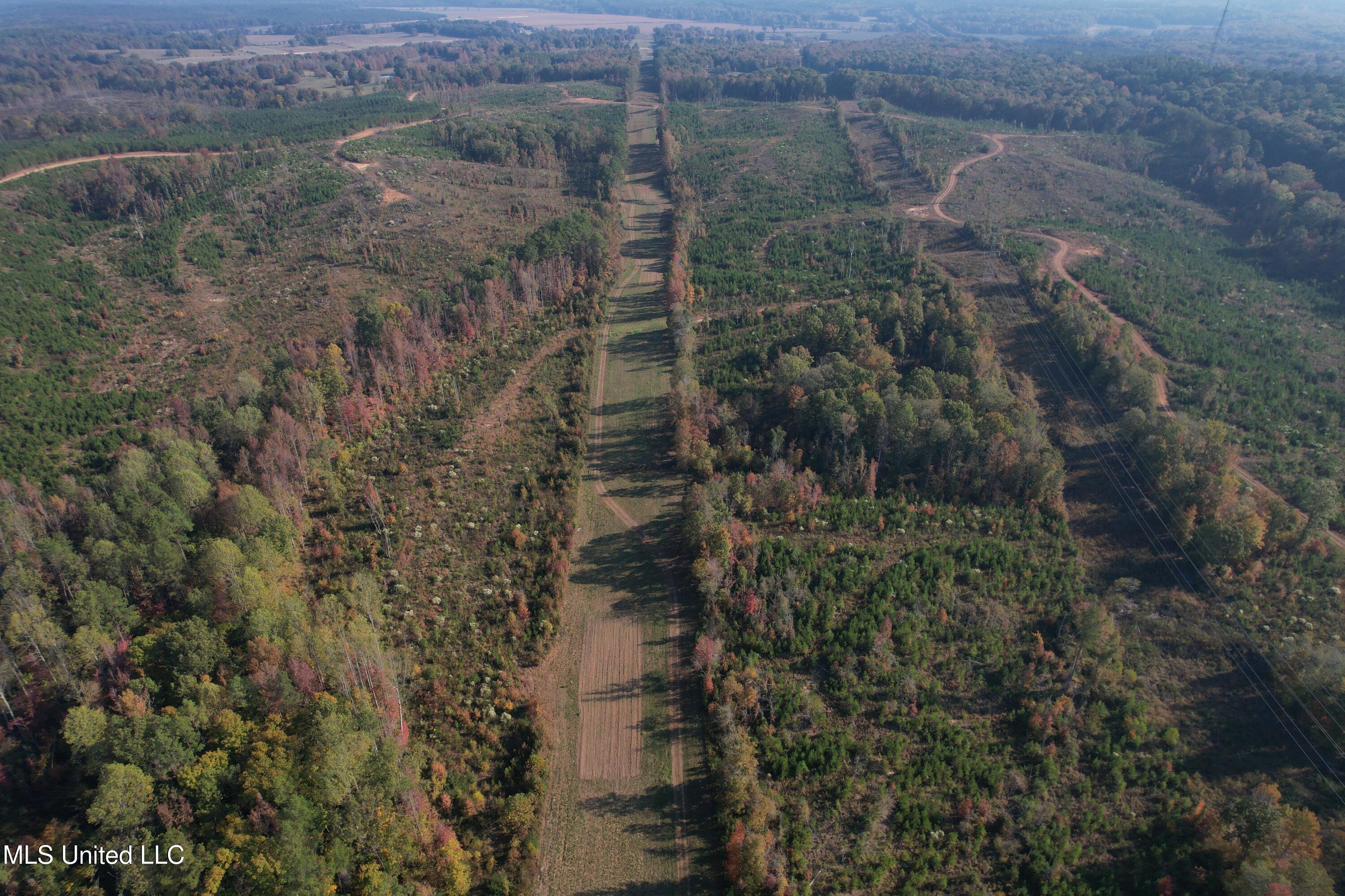 Off Highway 7, Coffeeville, Mississippi image 18