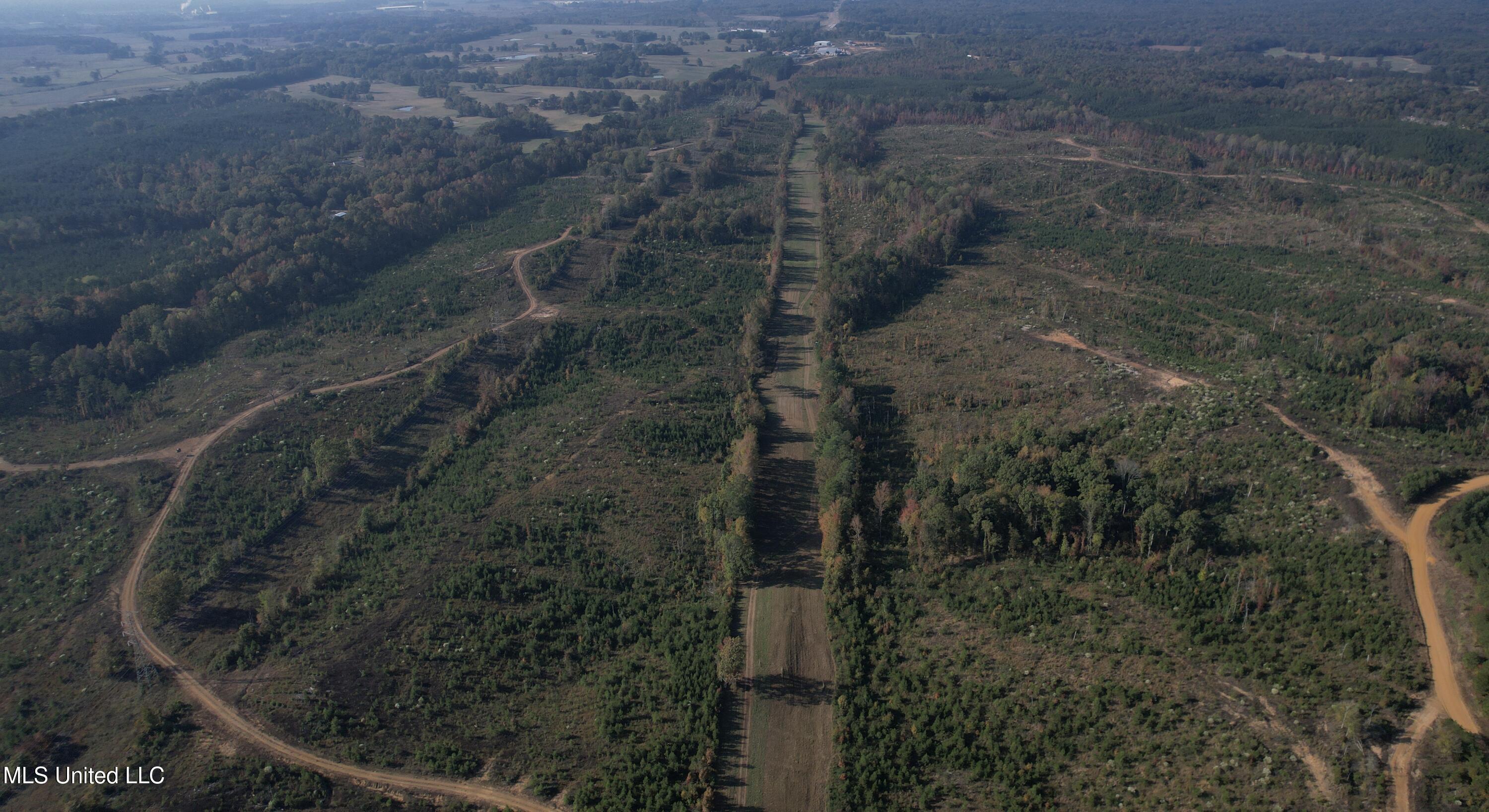 Off Highway 7, Coffeeville, Mississippi image 20