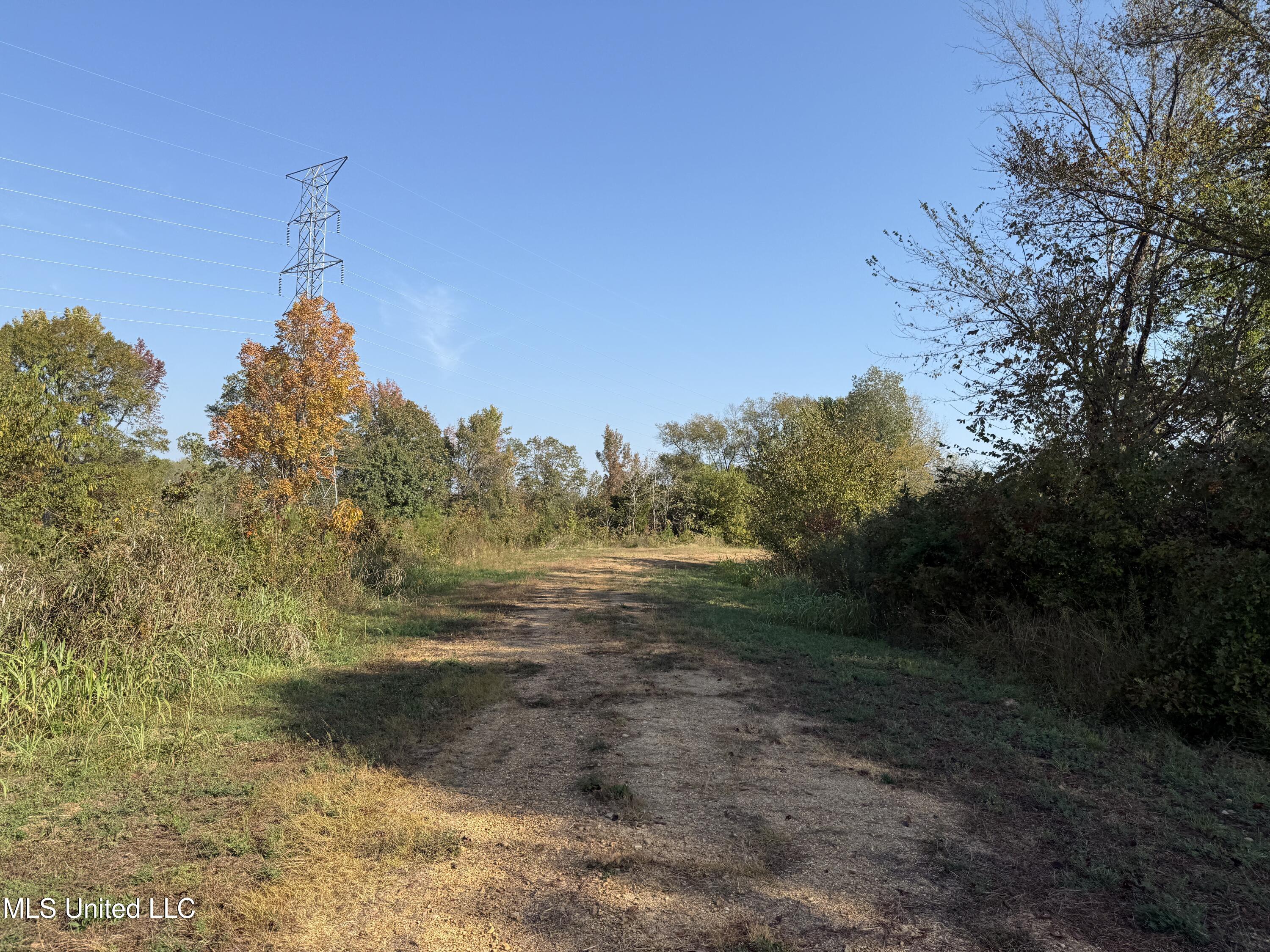 Off Highway 7, Coffeeville, Mississippi image 3