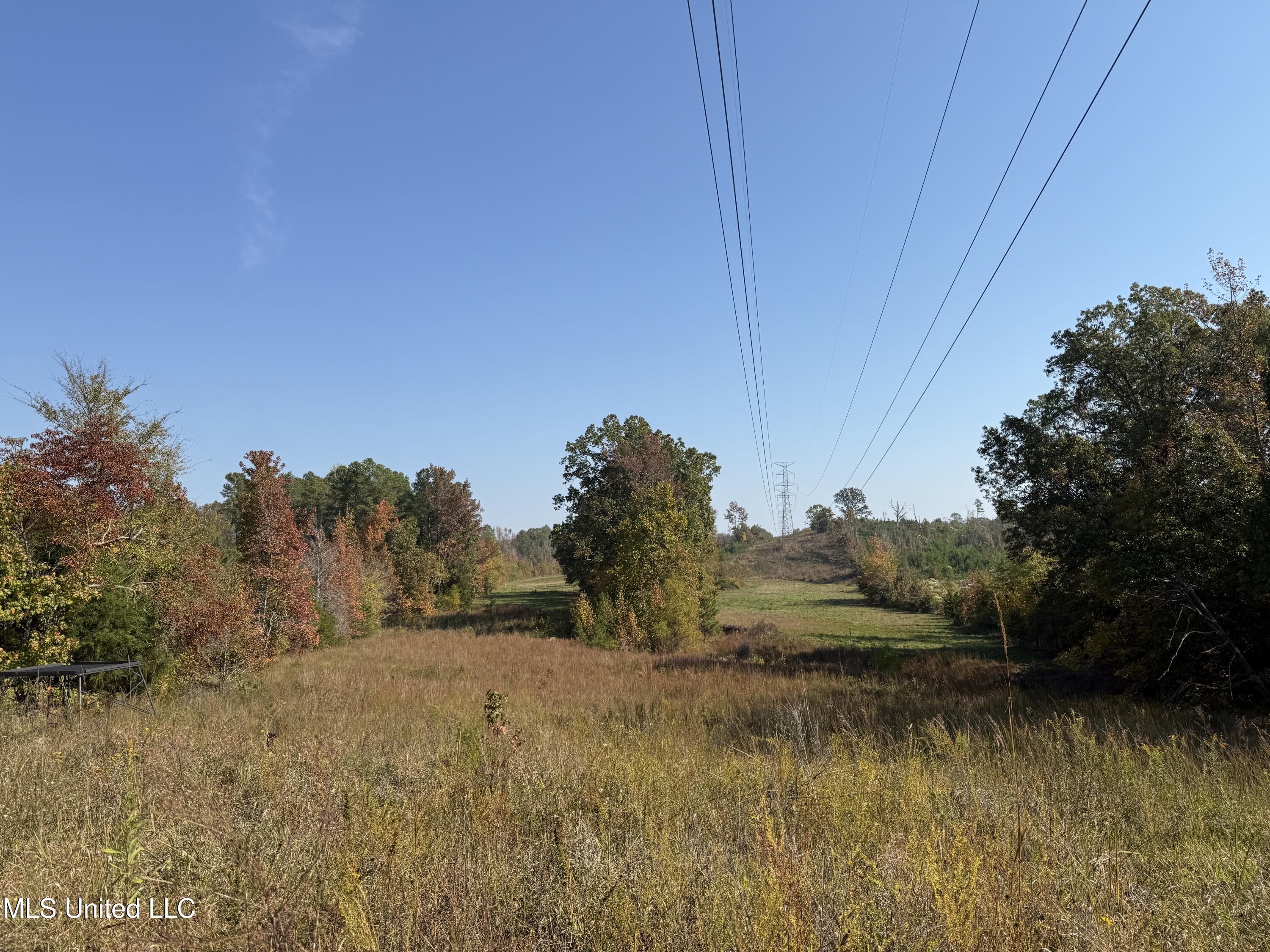 Off Highway 7, Coffeeville, Mississippi image 13