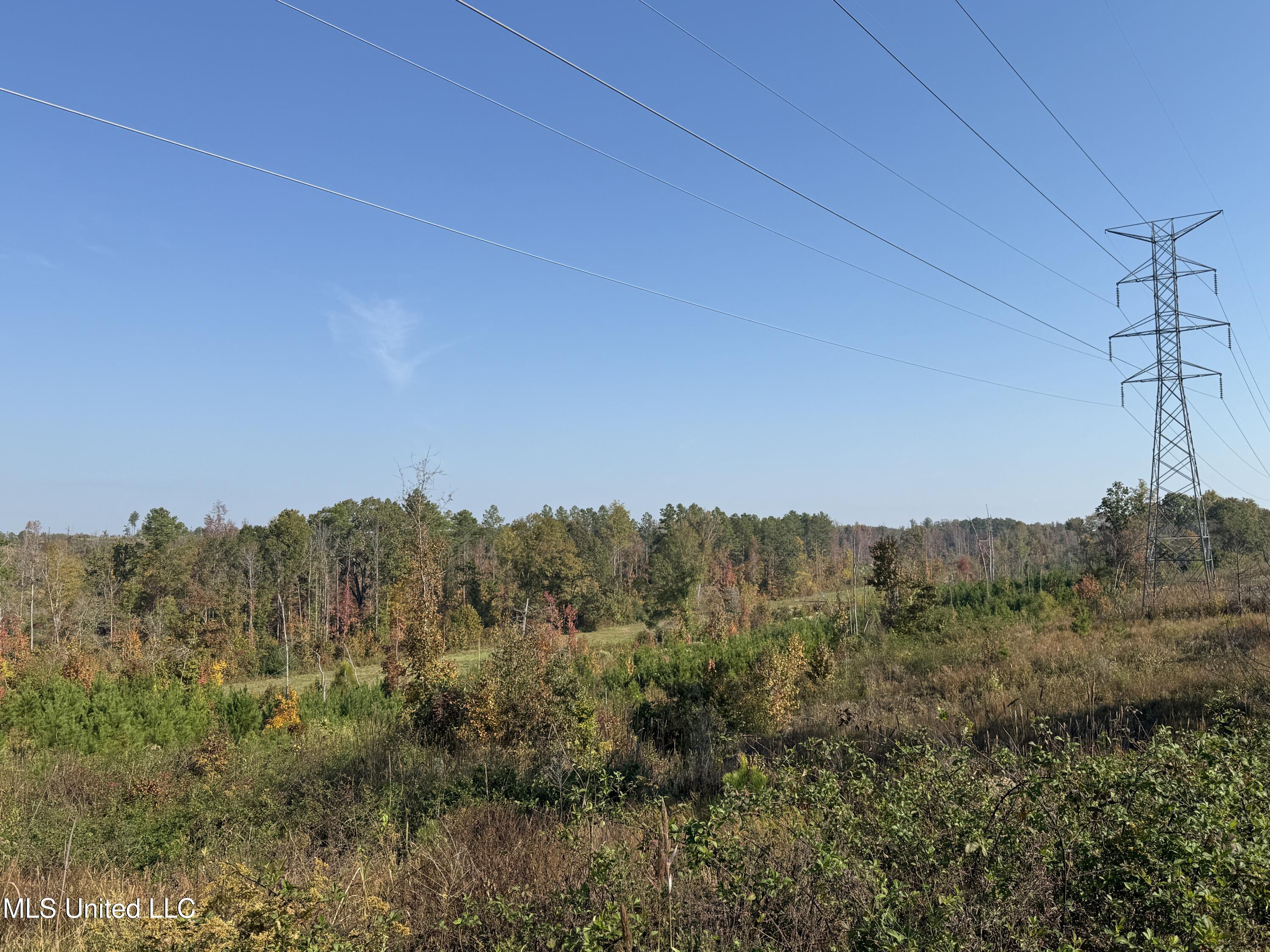 Off Highway 7, Coffeeville, Mississippi image 2