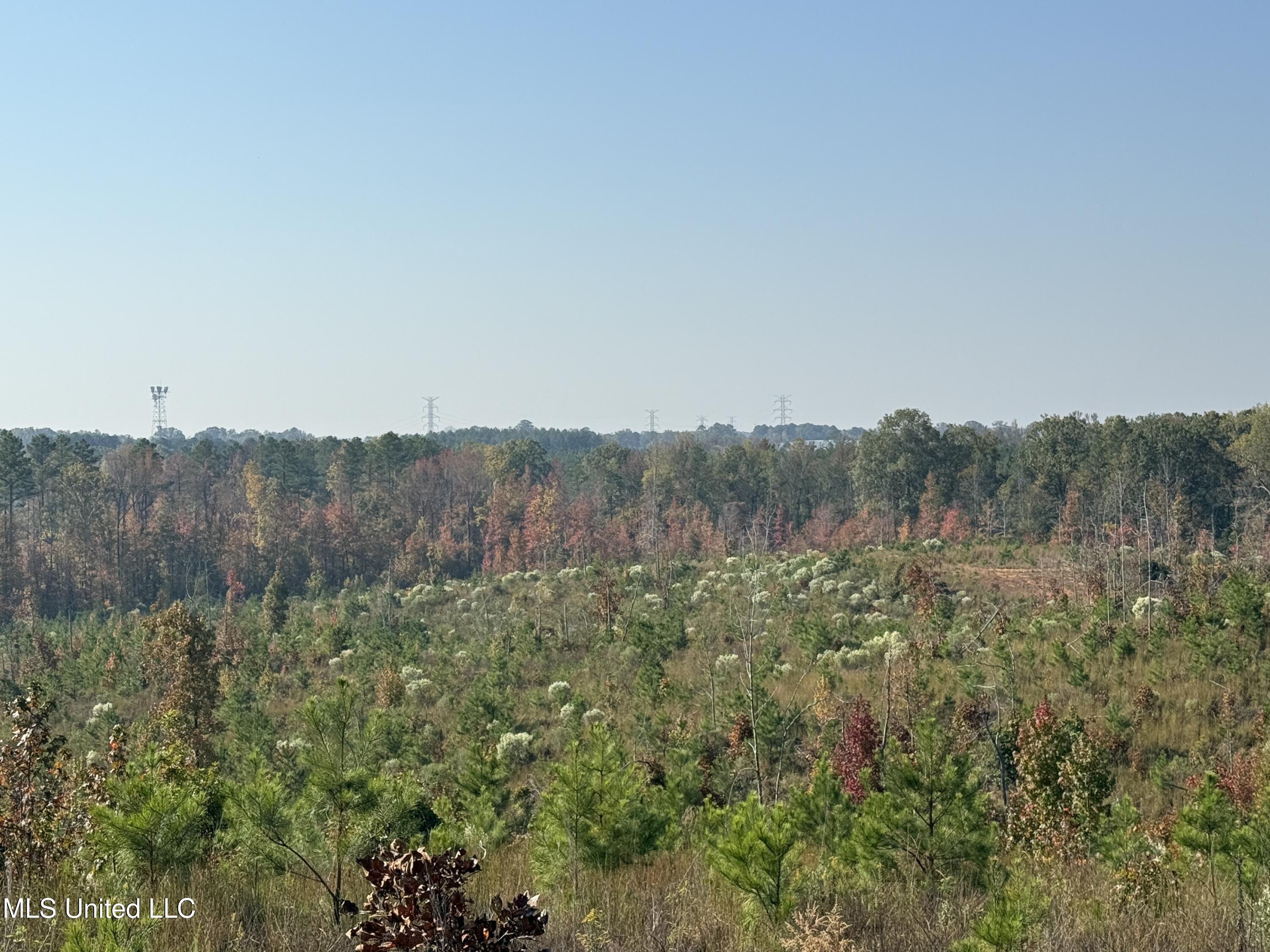 Off Highway 7, Coffeeville, Mississippi image 10