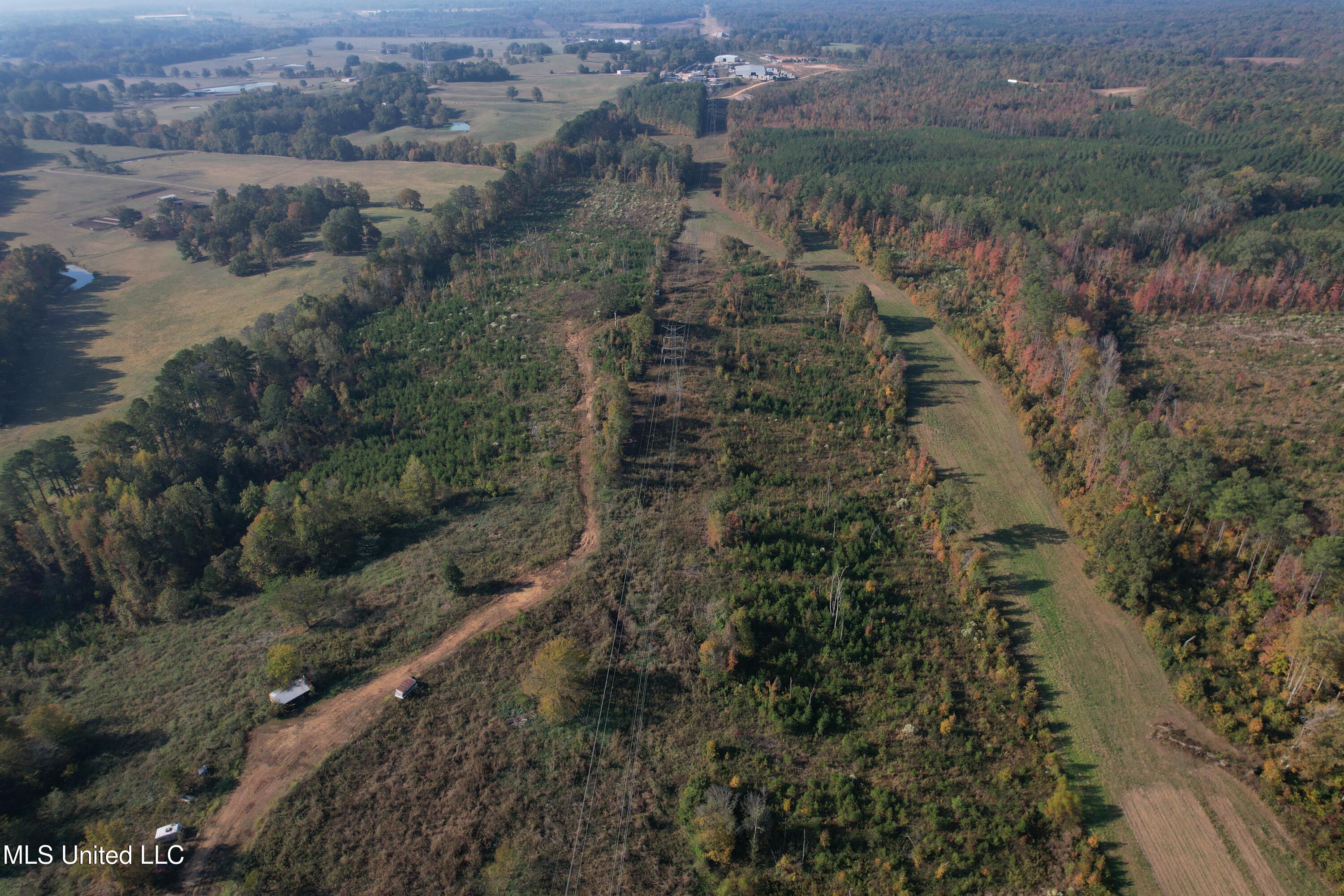 Off Highway 7, Coffeeville, Mississippi image 17