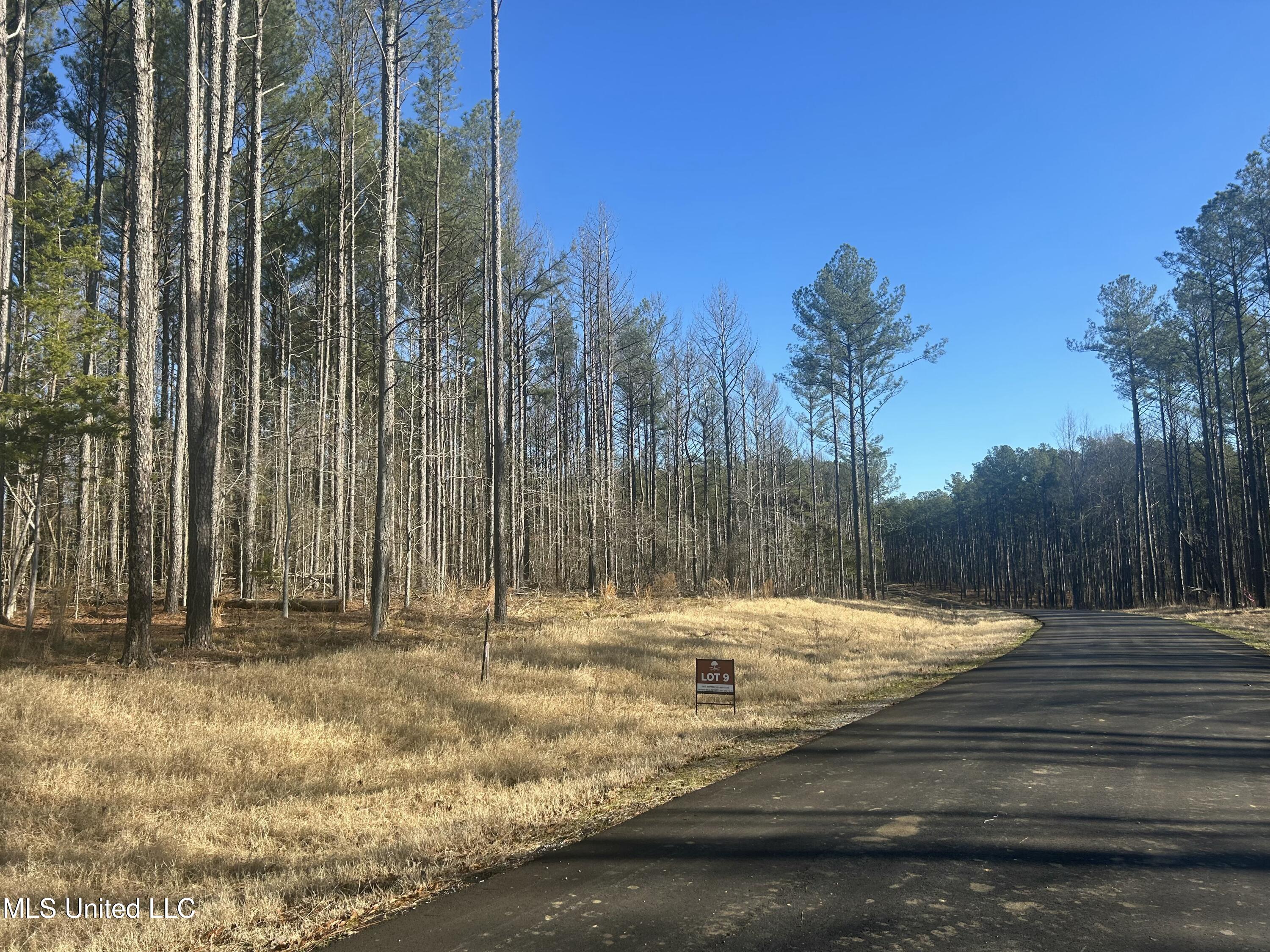 Springwood Trail, Flora, Mississippi image 1