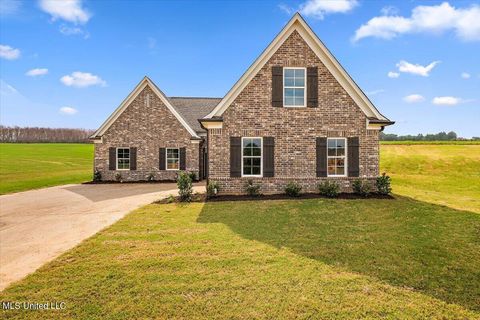 Homes For Sale - 6345 River Lane<br/> Walls, MS 38680