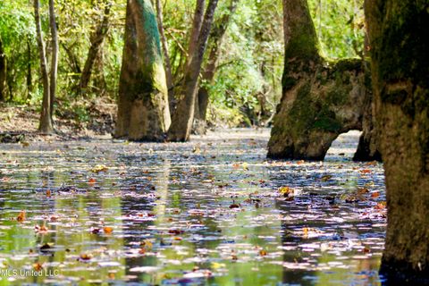 Vacant Land For Sale - HIGHWAY 35 Mississippi 35<br/> Covington County, Mount Olive, MS 39119