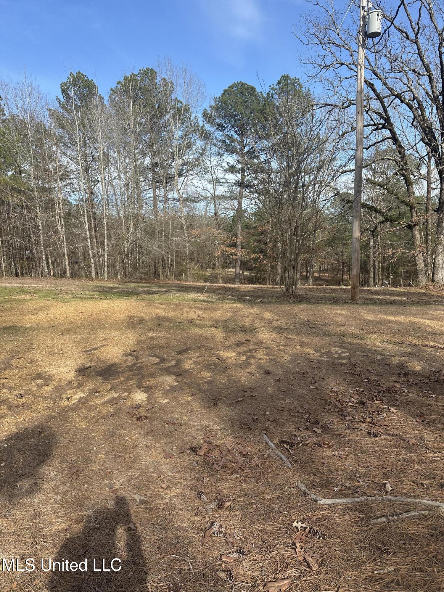 336 Evening Shade Drive, Gore Springs, Mississippi image 8