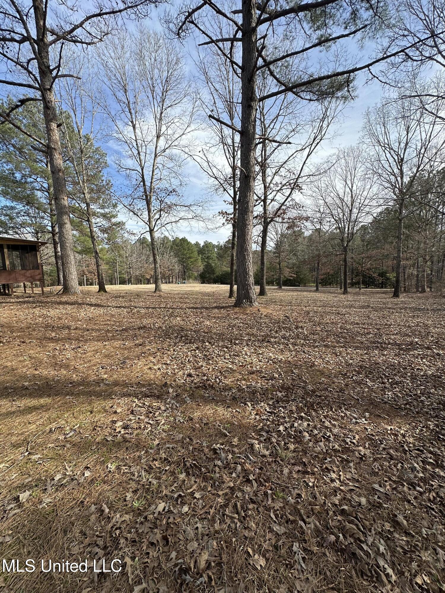 336 Evening Shade Drive, Gore Springs, Mississippi image 7