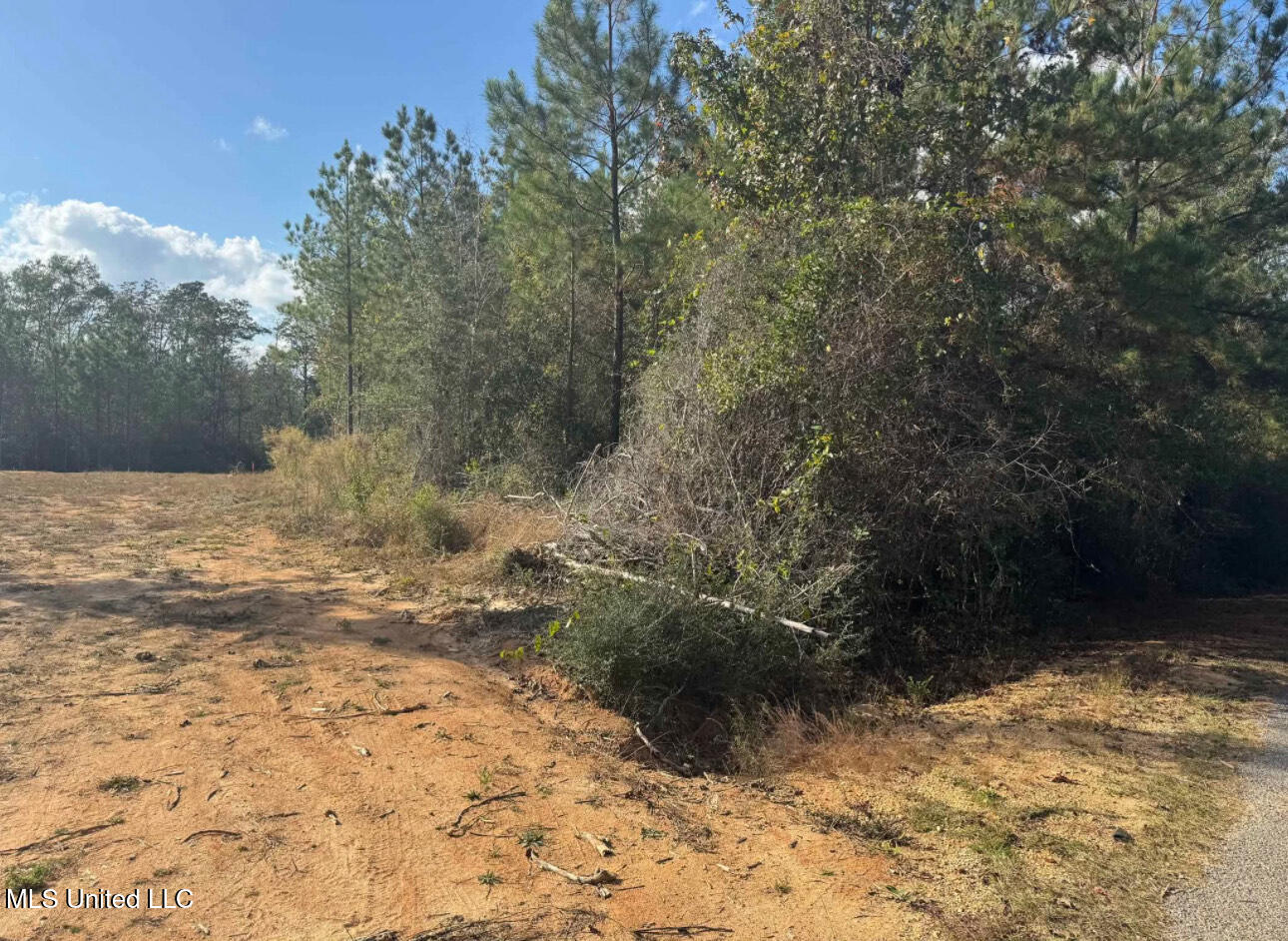 J Bailey Road, Wiggins, Mississippi image 5