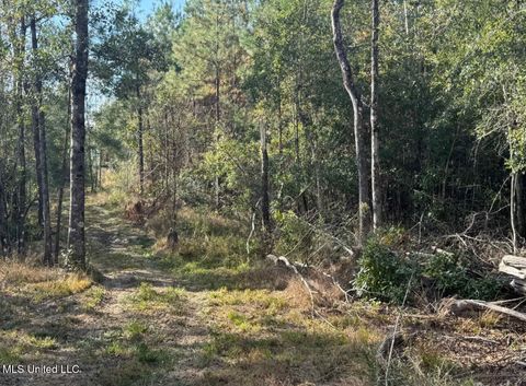 Vacant Land For Sale - J Bailey Road<br/> Forrest County, Wiggins, MS 39577