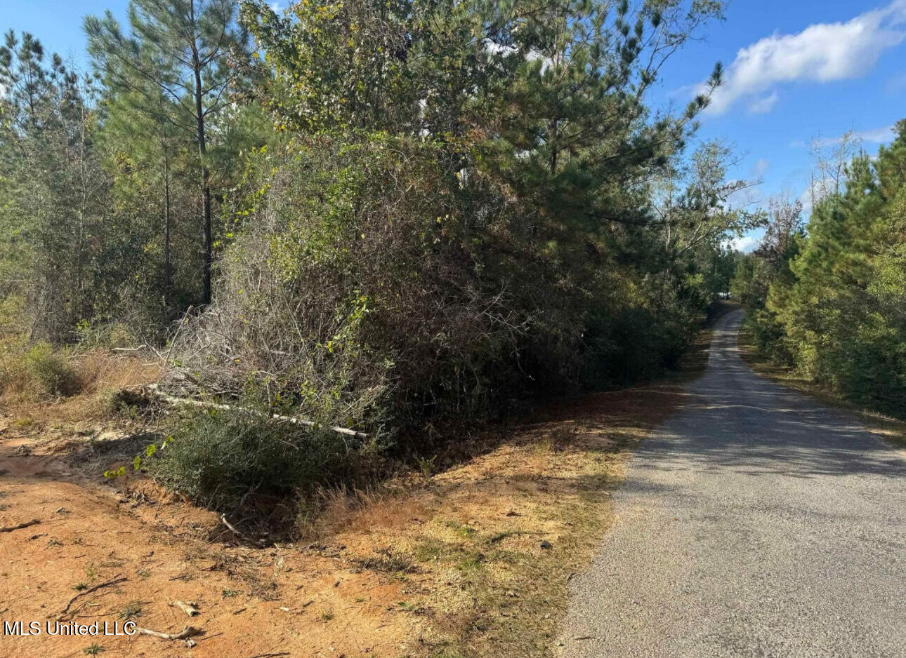 J Bailey Road, Wiggins, Mississippi image 4