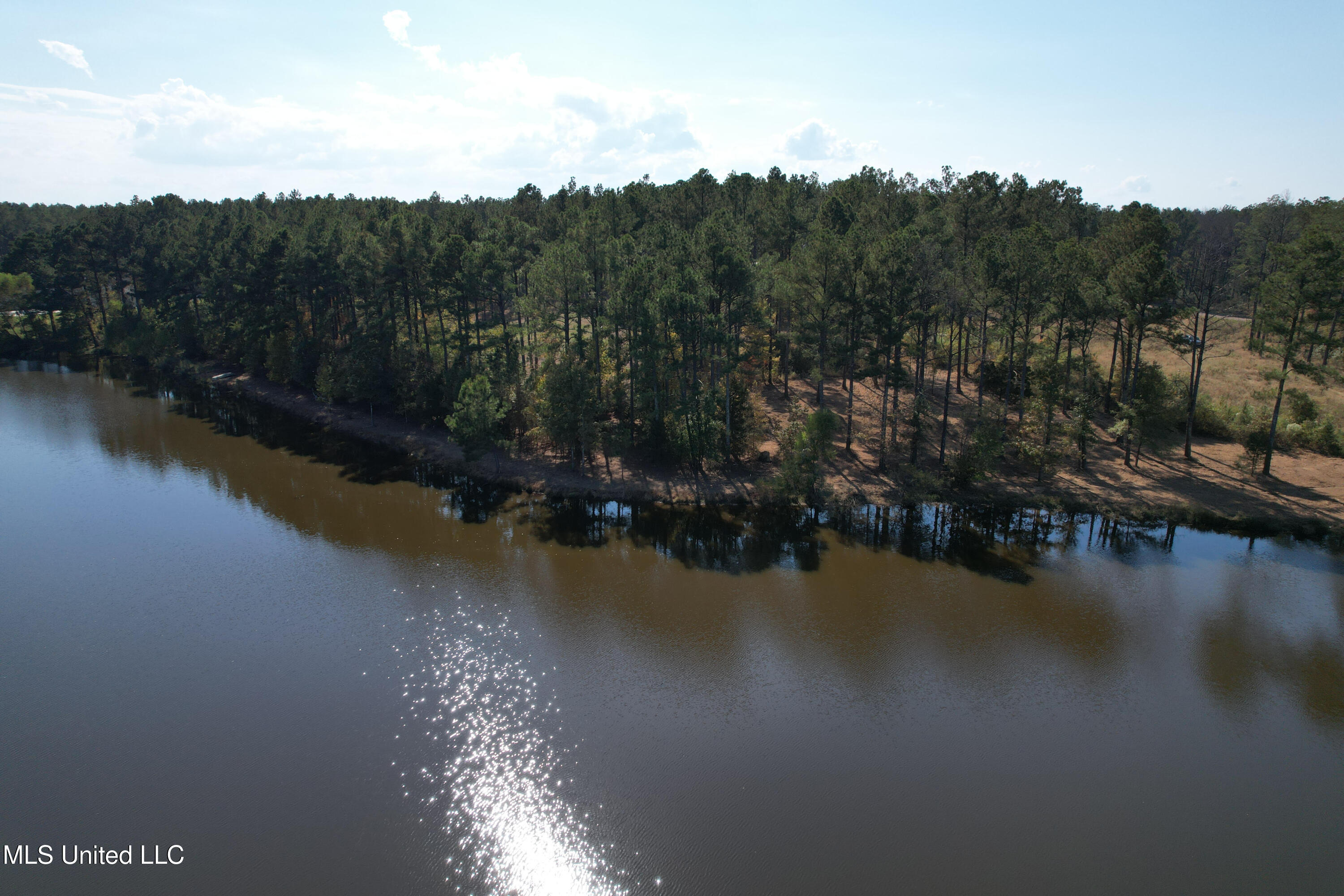 Lakeshire Parkway, Canton, Mississippi image 2