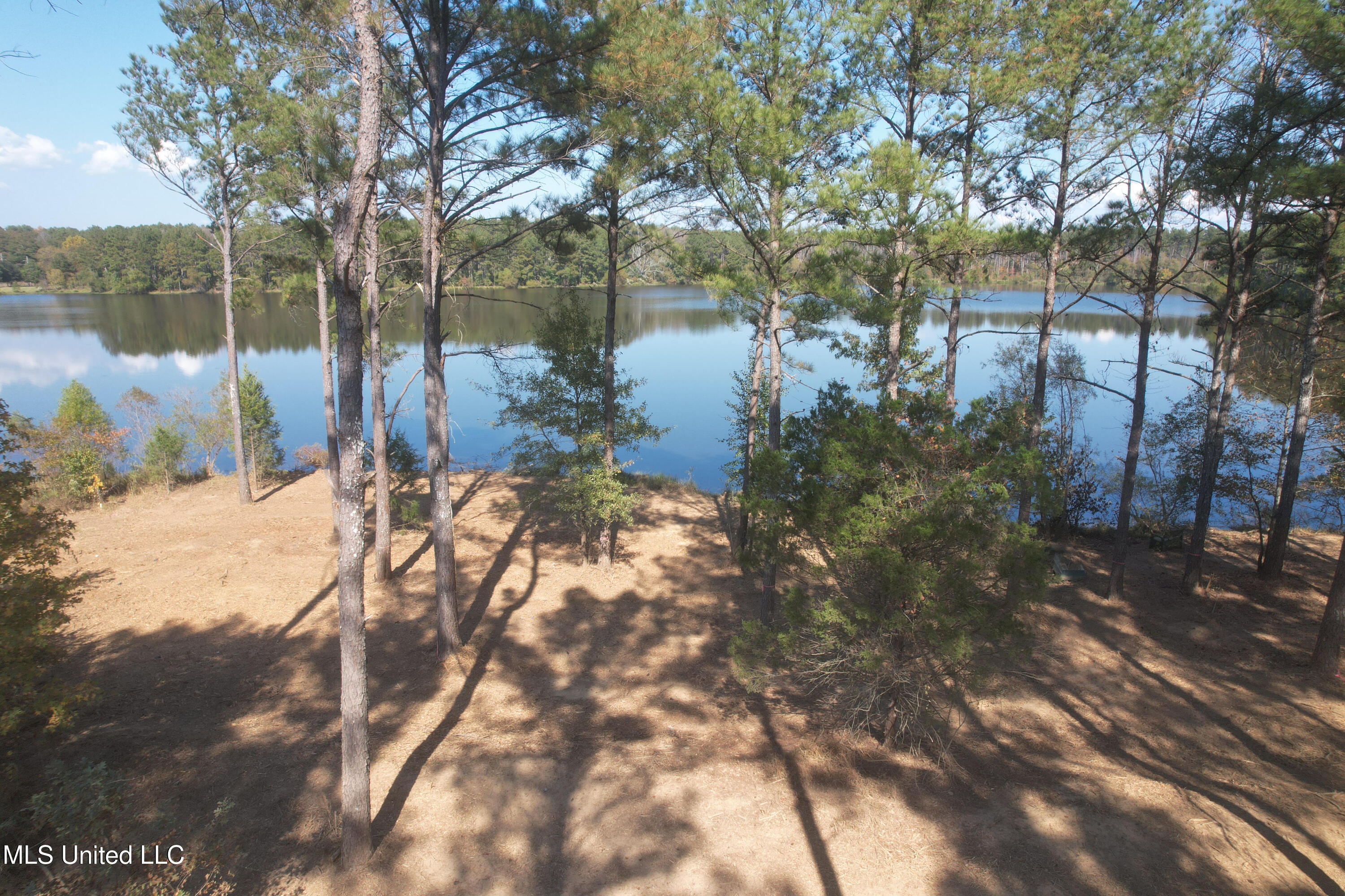 Lakeshire Parkway, Canton, Mississippi image 3