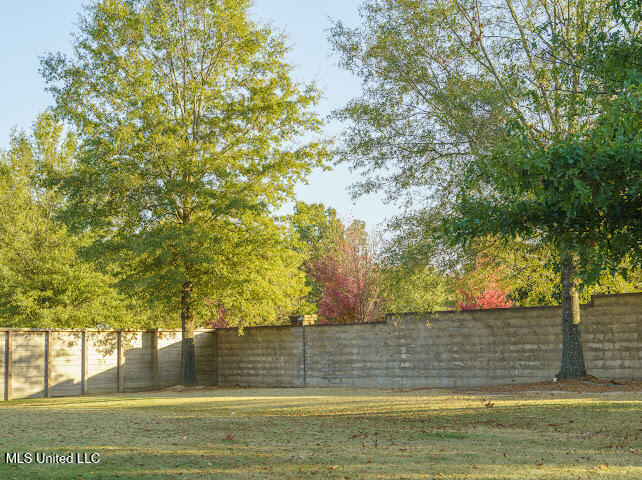 3037 Raspberry Red Cove, Southaven, Mississippi image 3